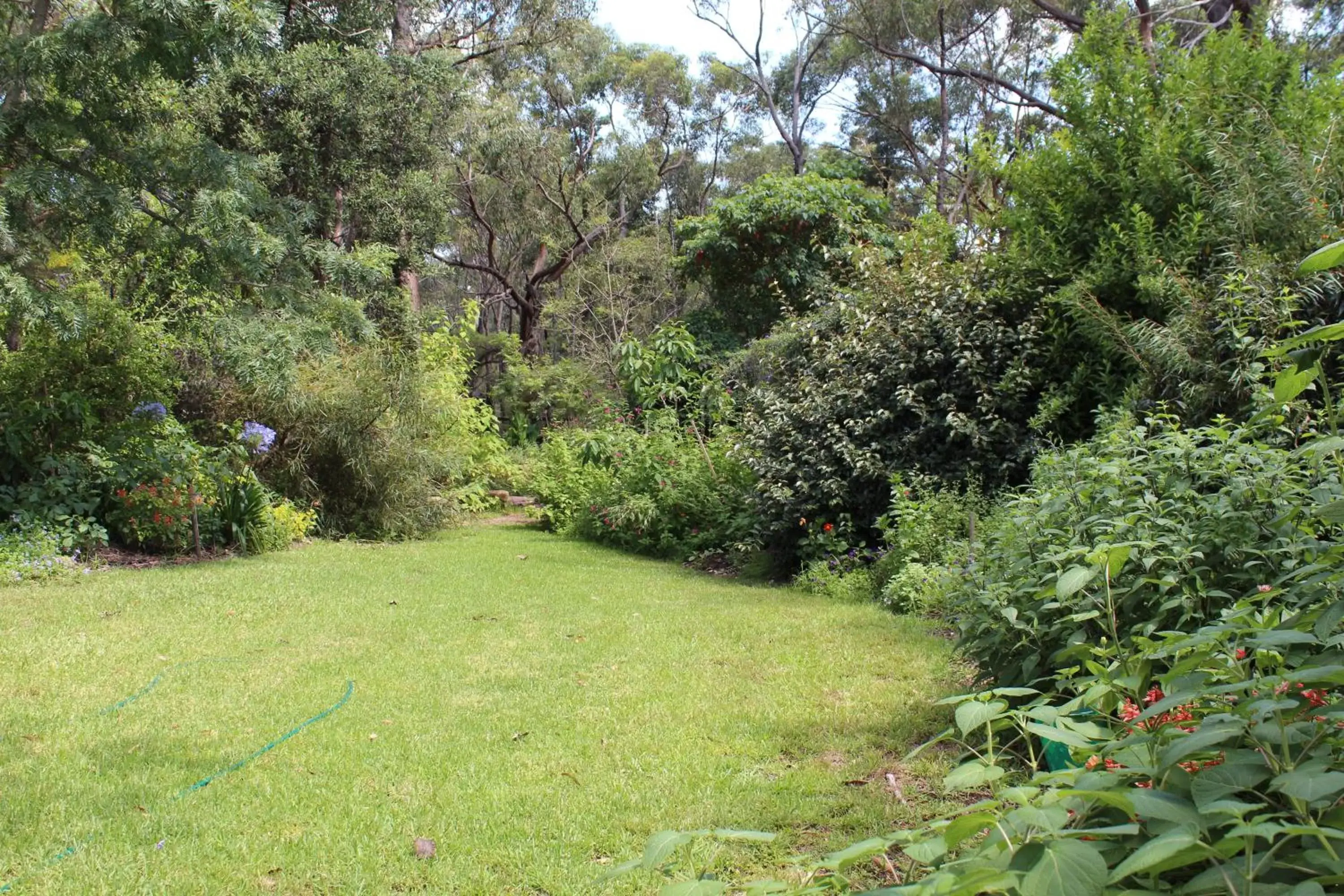 Garden in Storey Grange