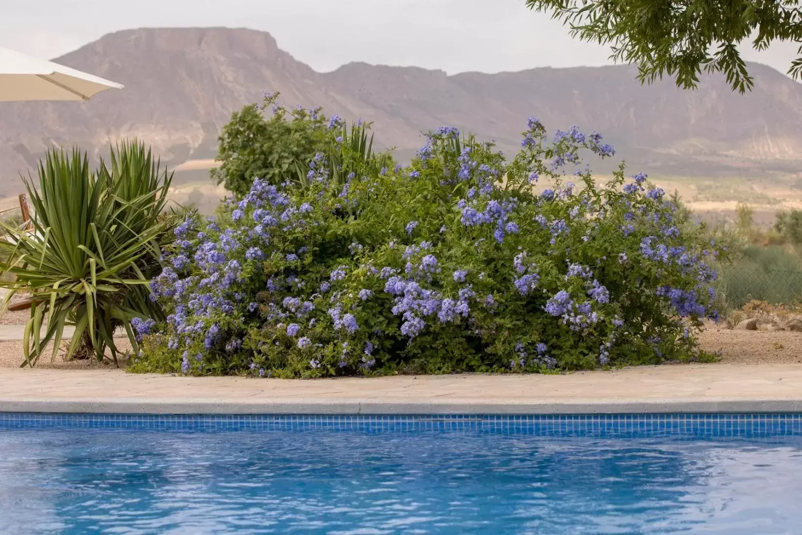 Natural landscape, Swimming Pool in Boutique Bed & Breakfast Casa Paco - adults only