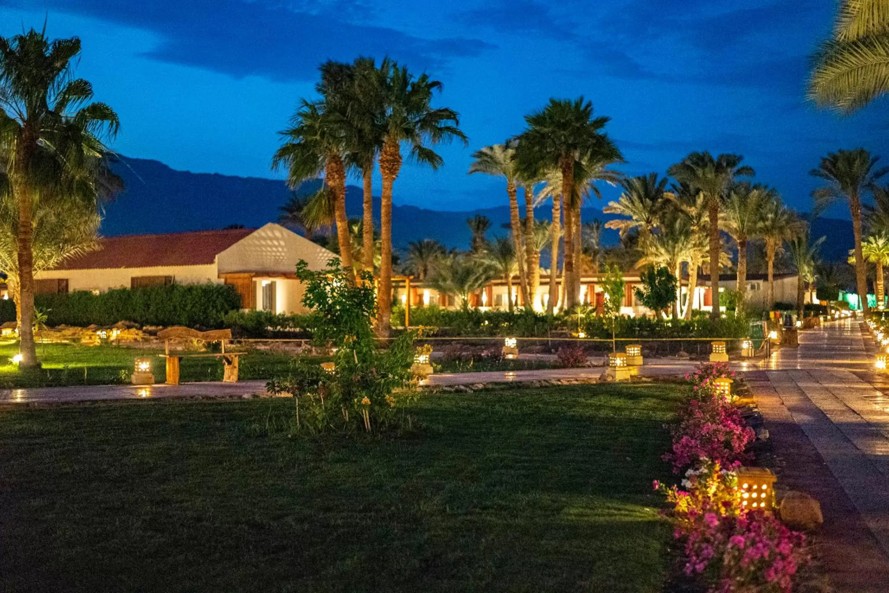 Garden, Property Building in Nuweiba Club Resort