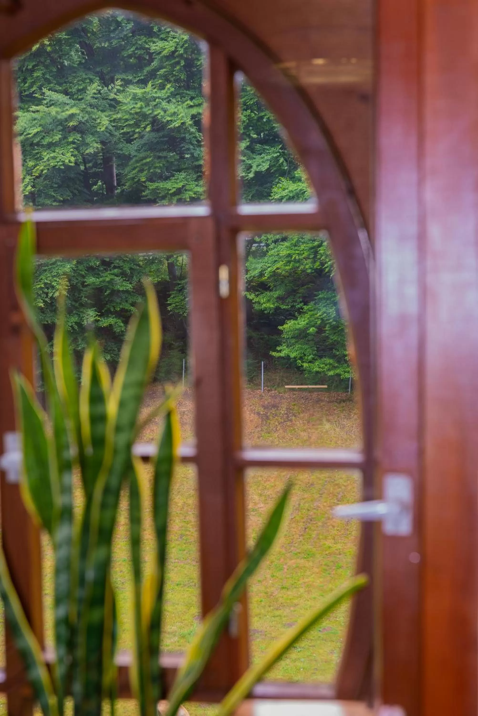 Garden view in Hotel Waldmühle