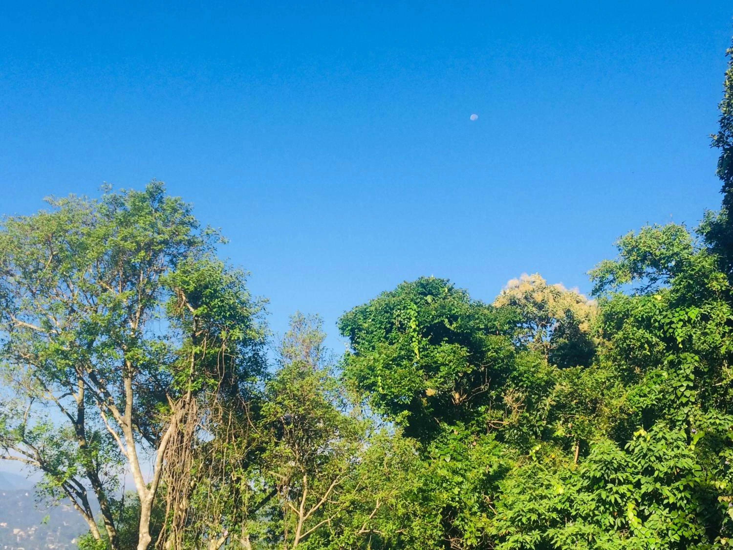 Day in Selyna Sky Terrace