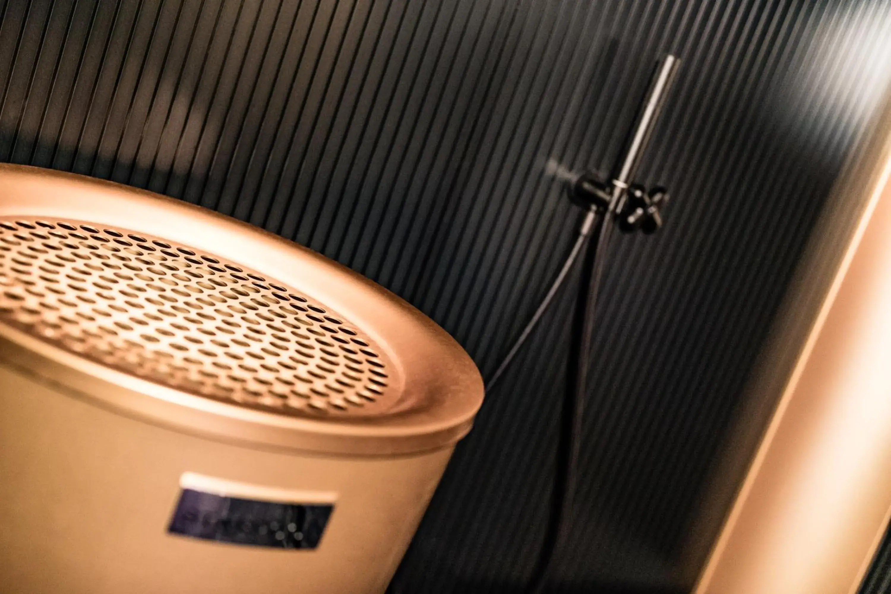 Sauna, Bathroom in Hotel Plattenhof