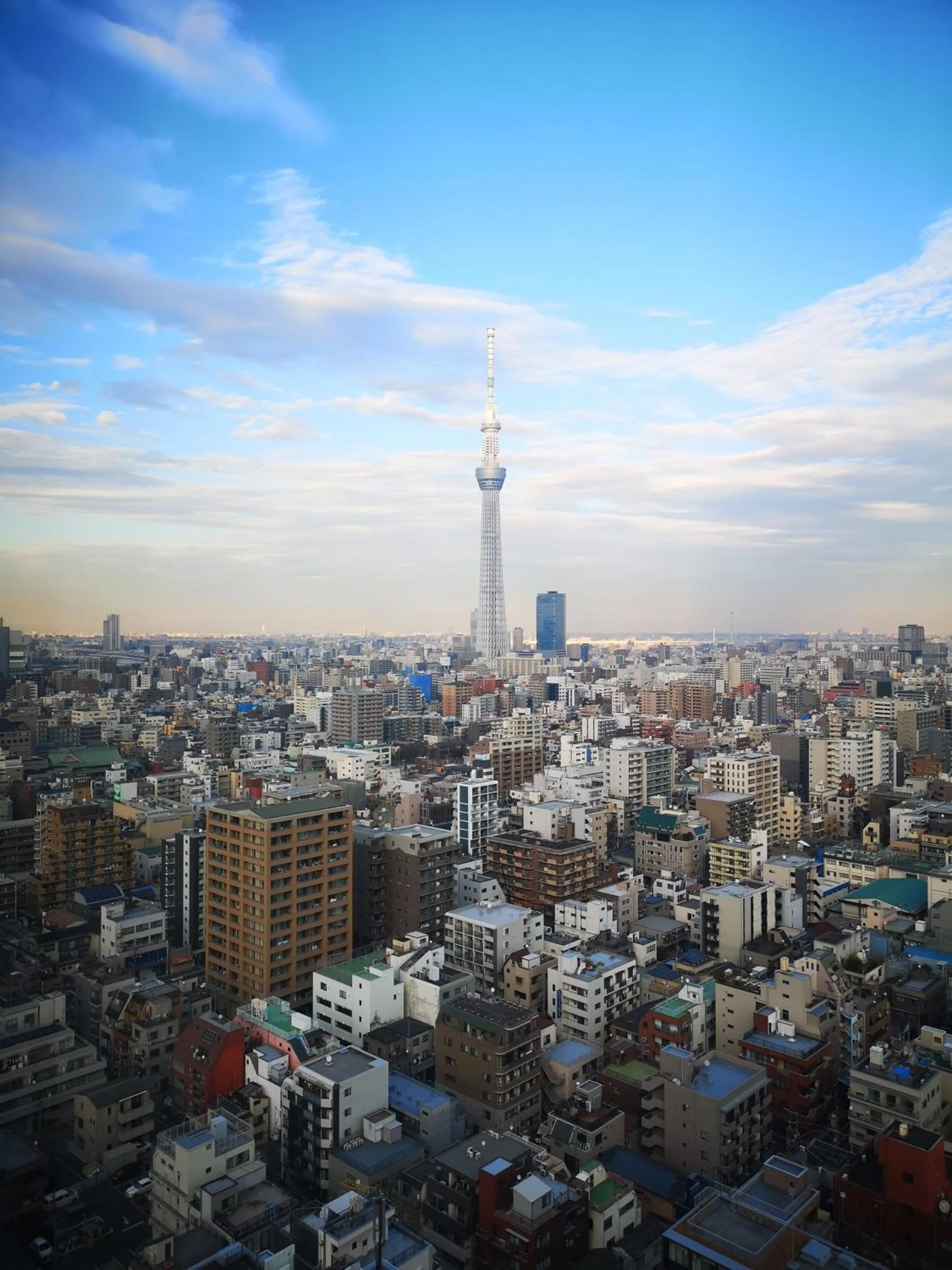 Landmark view in Dai-ichi Hotel Ryogoku