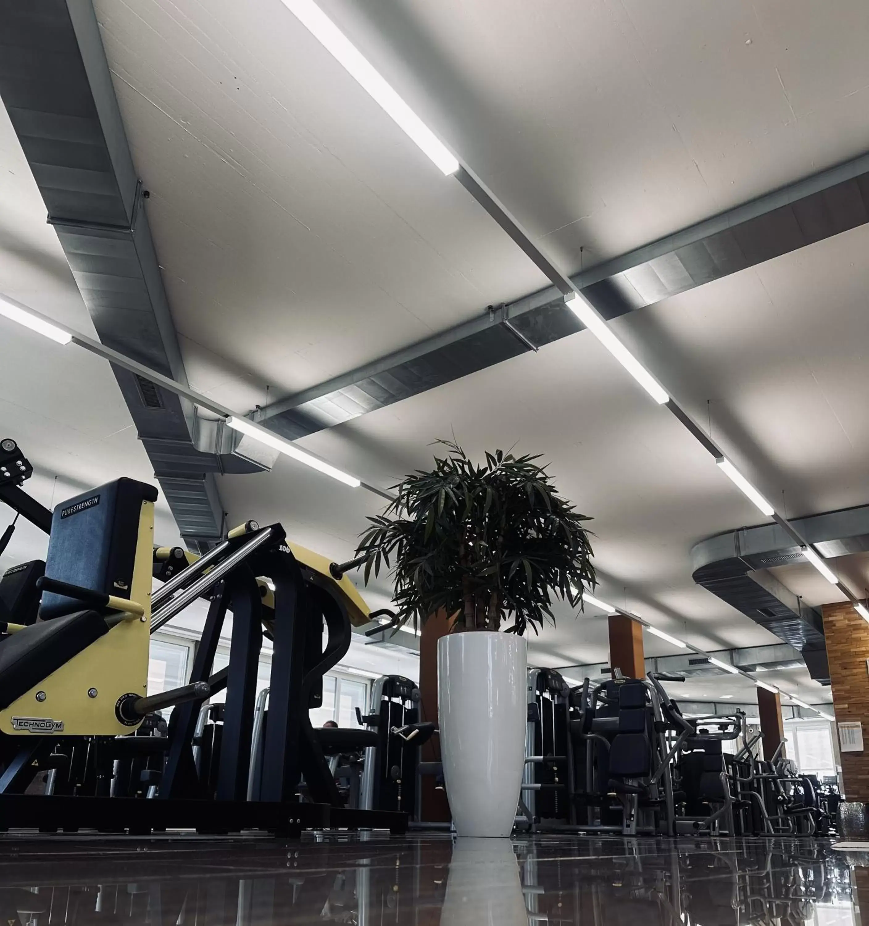 Fitness centre/facilities in Wellness Hotel Aquafit Sursee