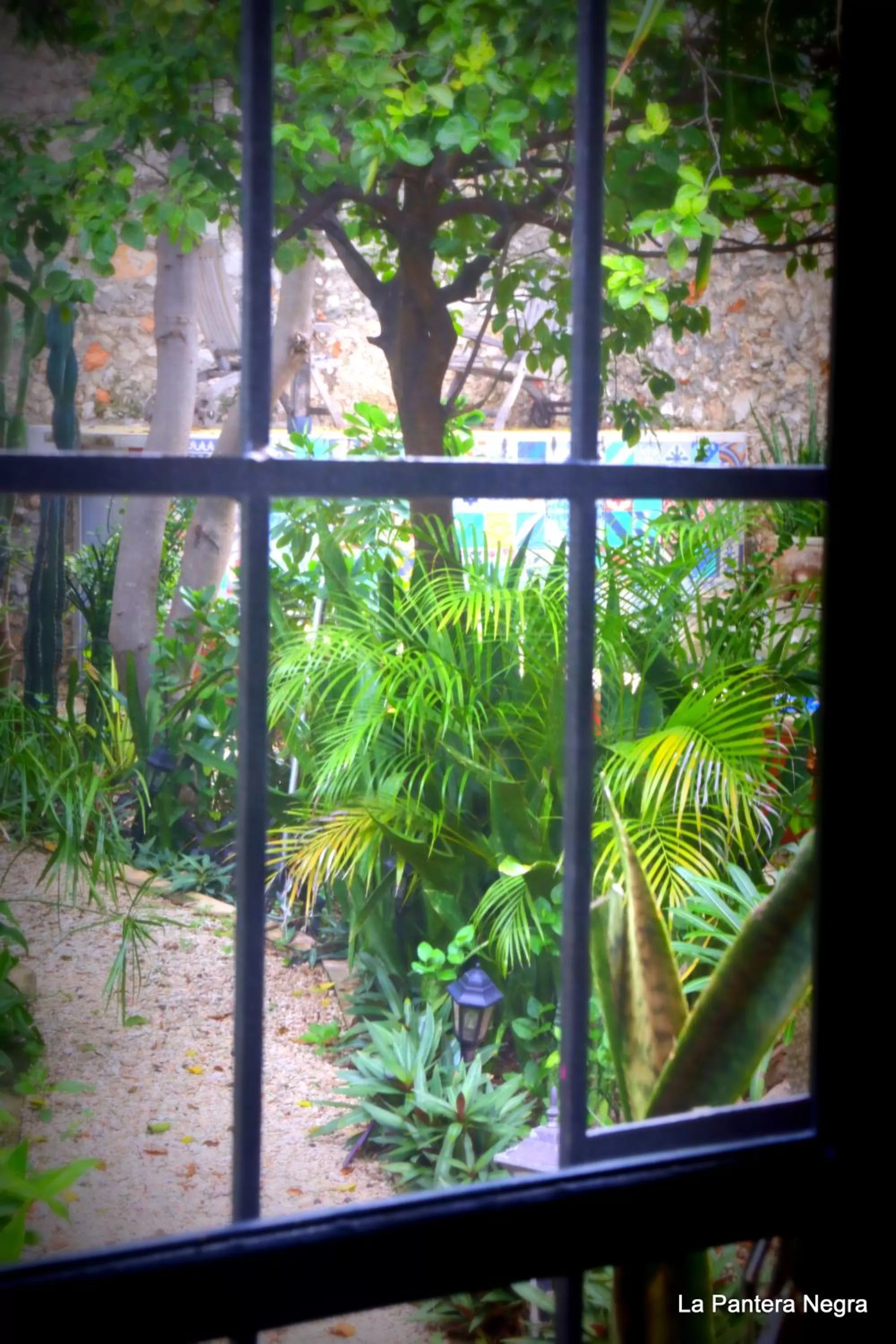Bathroom, Pool View in La Pantera Negra