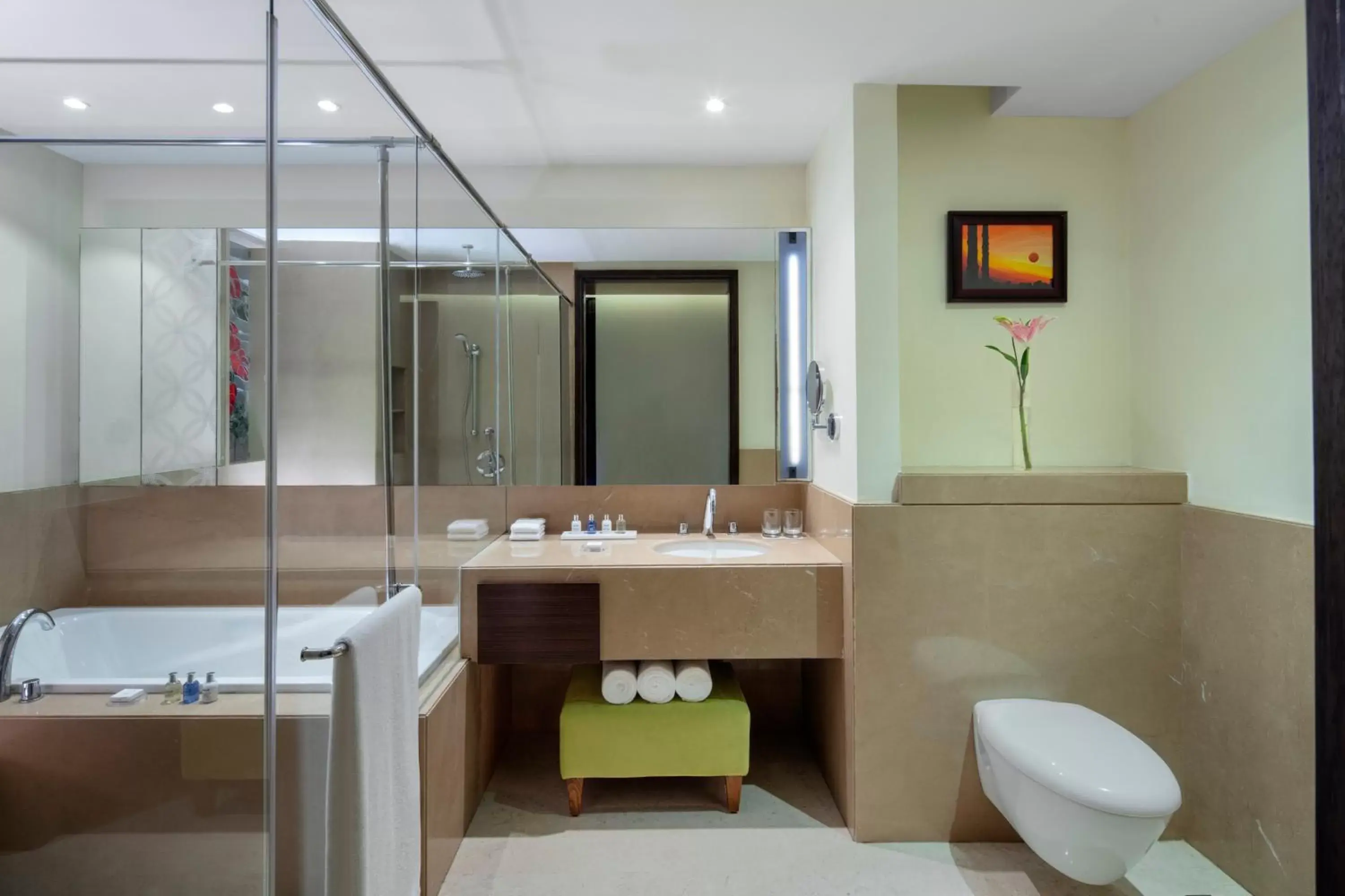 Bathroom in Radisson Blu Plaza Hotel Mysore