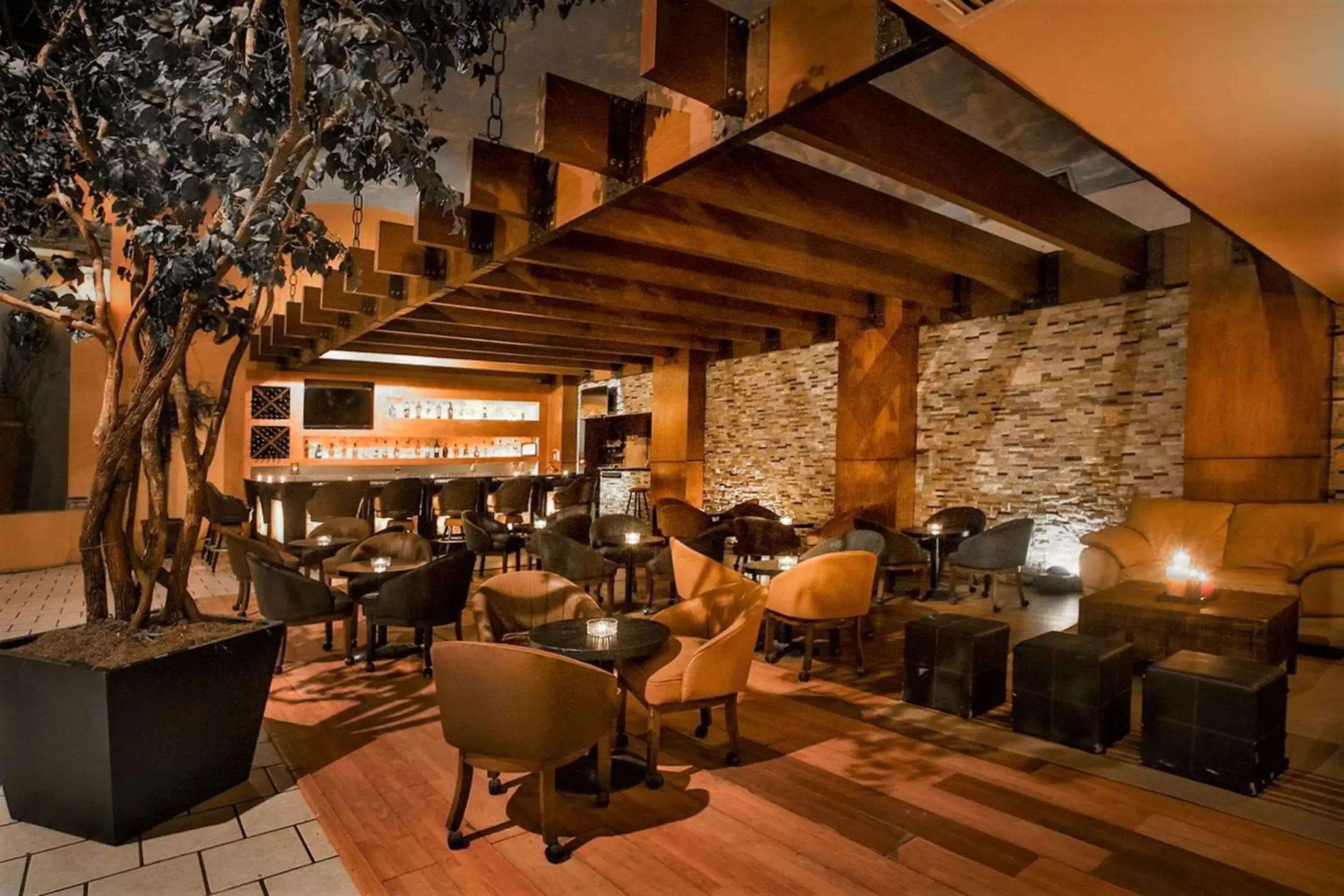 Lounge or bar, Restaurant/Places to Eat in Quality Inn Ciudad Obregon