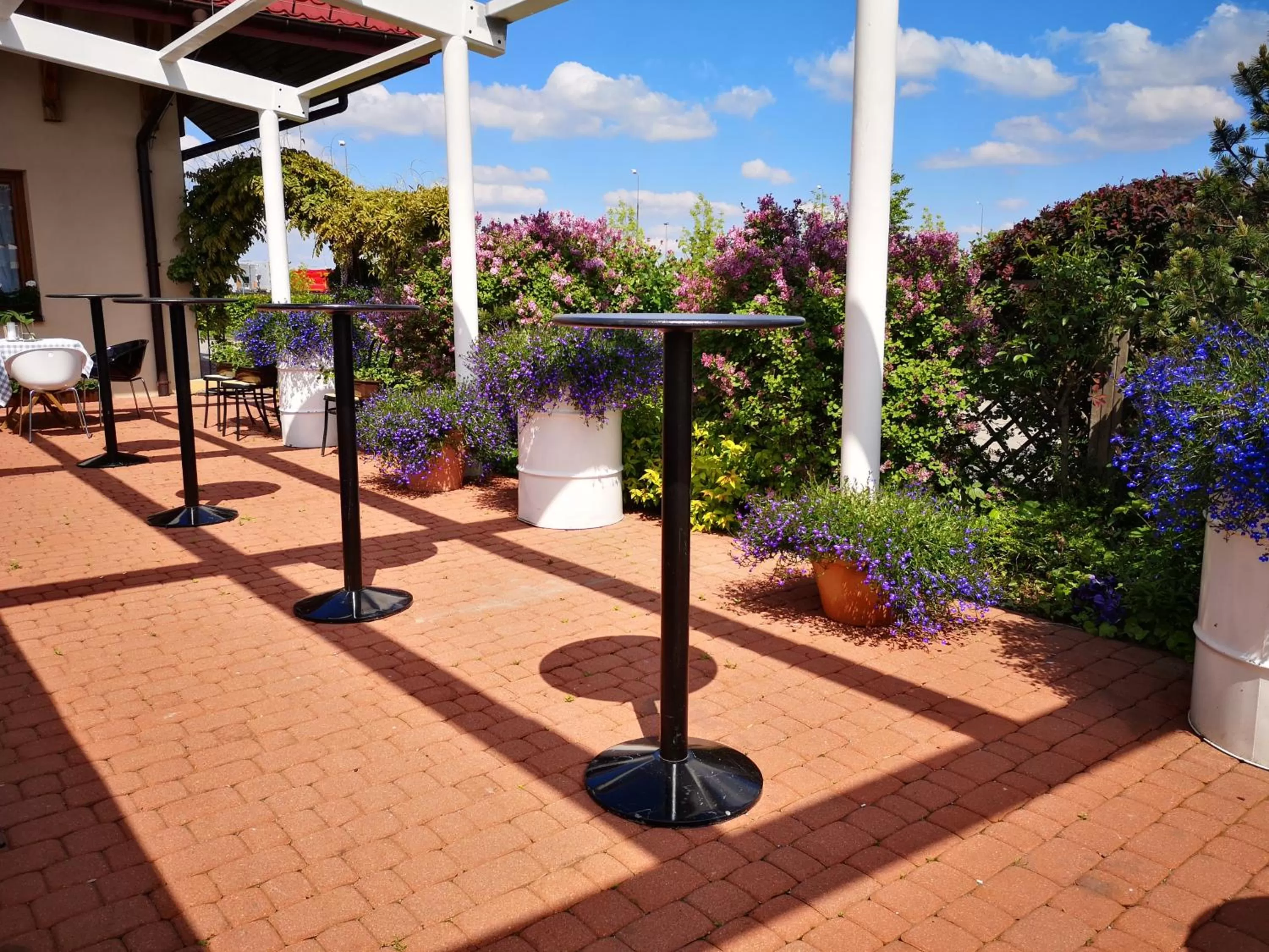 Patio in Zielona Weranda