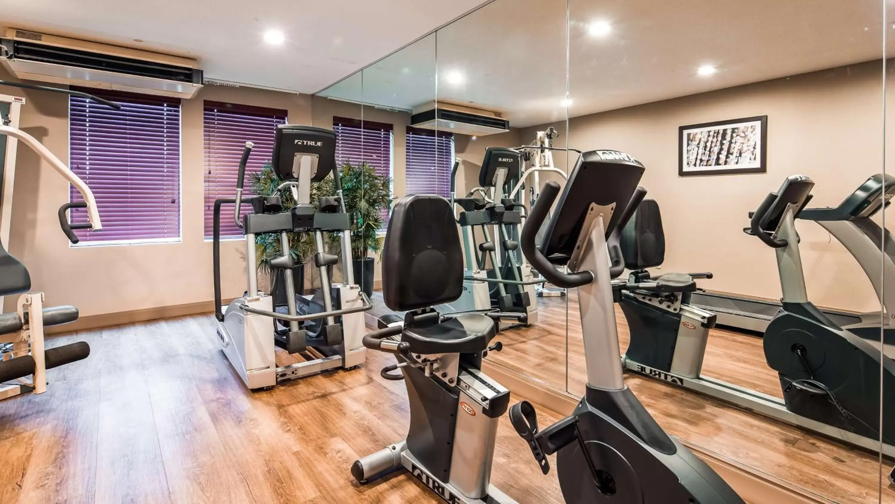 Fitness centre/facilities, Fitness Center/Facilities in Best Western Plus Liverpool - Syracuse Inn & Suites