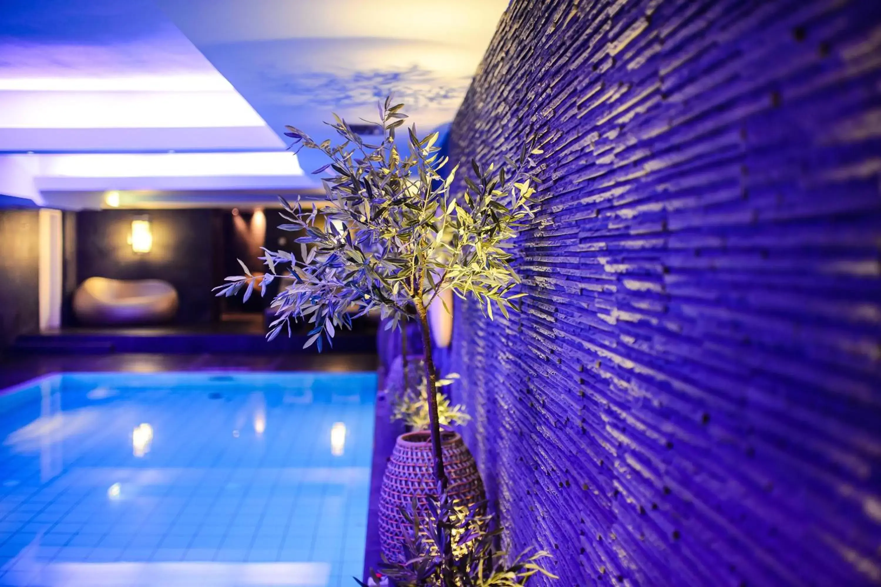 Spa and wellness centre/facilities, Swimming Pool in Hotel Bristol, A Luxury Collection Hotel, Warsaw