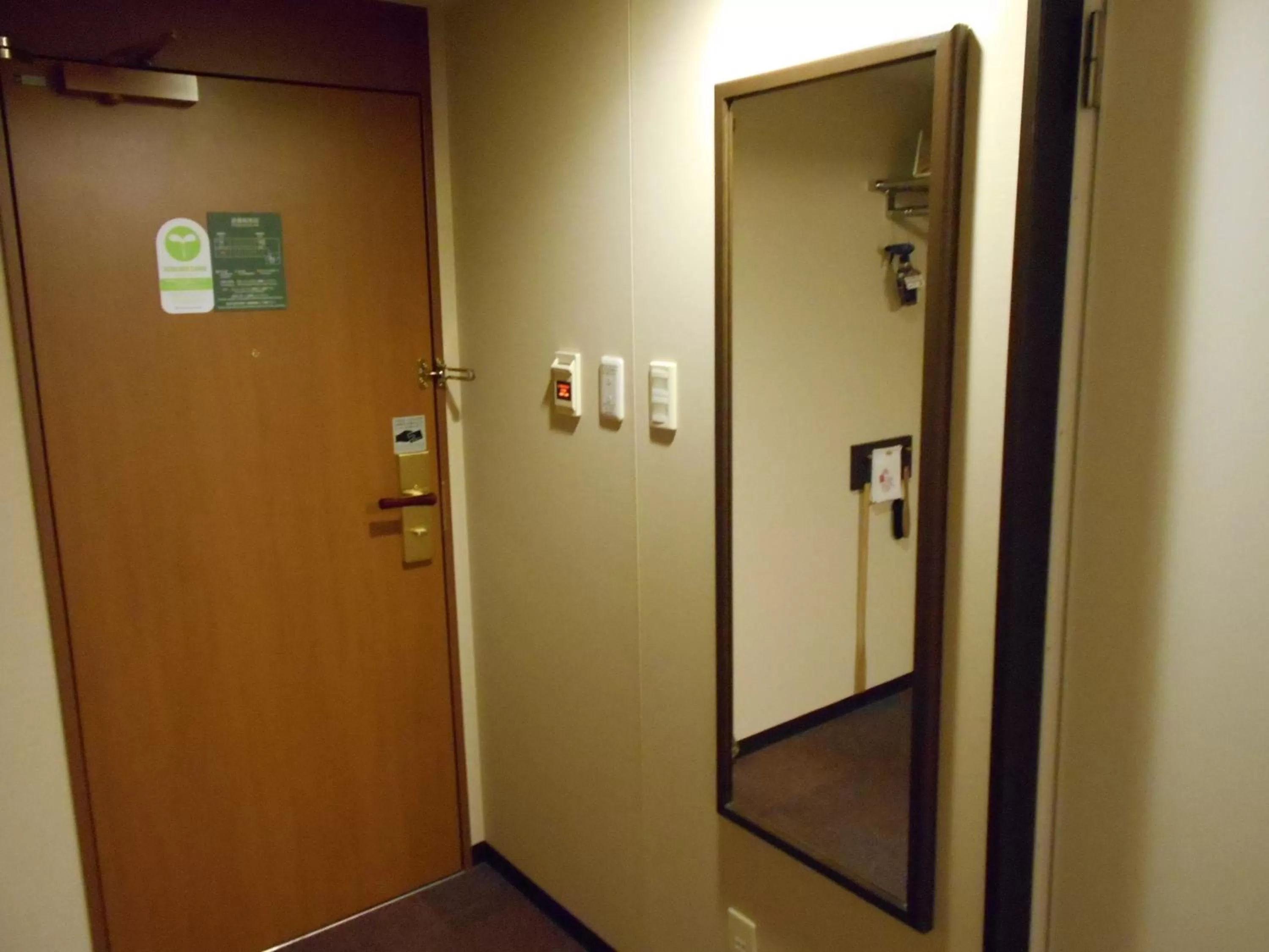 Standard Double Room - single occupancy - Non-Smoking  in Daiwa Roynet Hotel Mito