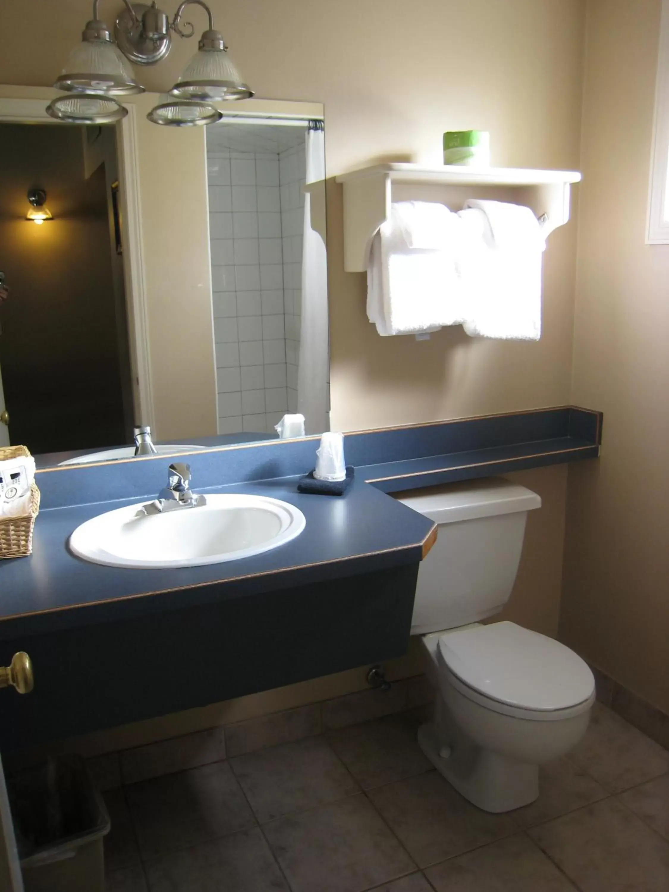 Bathroom in Revelstoke Lodge