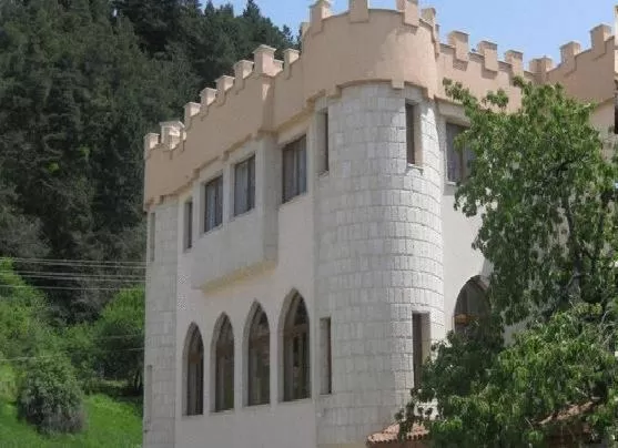 Facade/entrance in The Castle Hotel