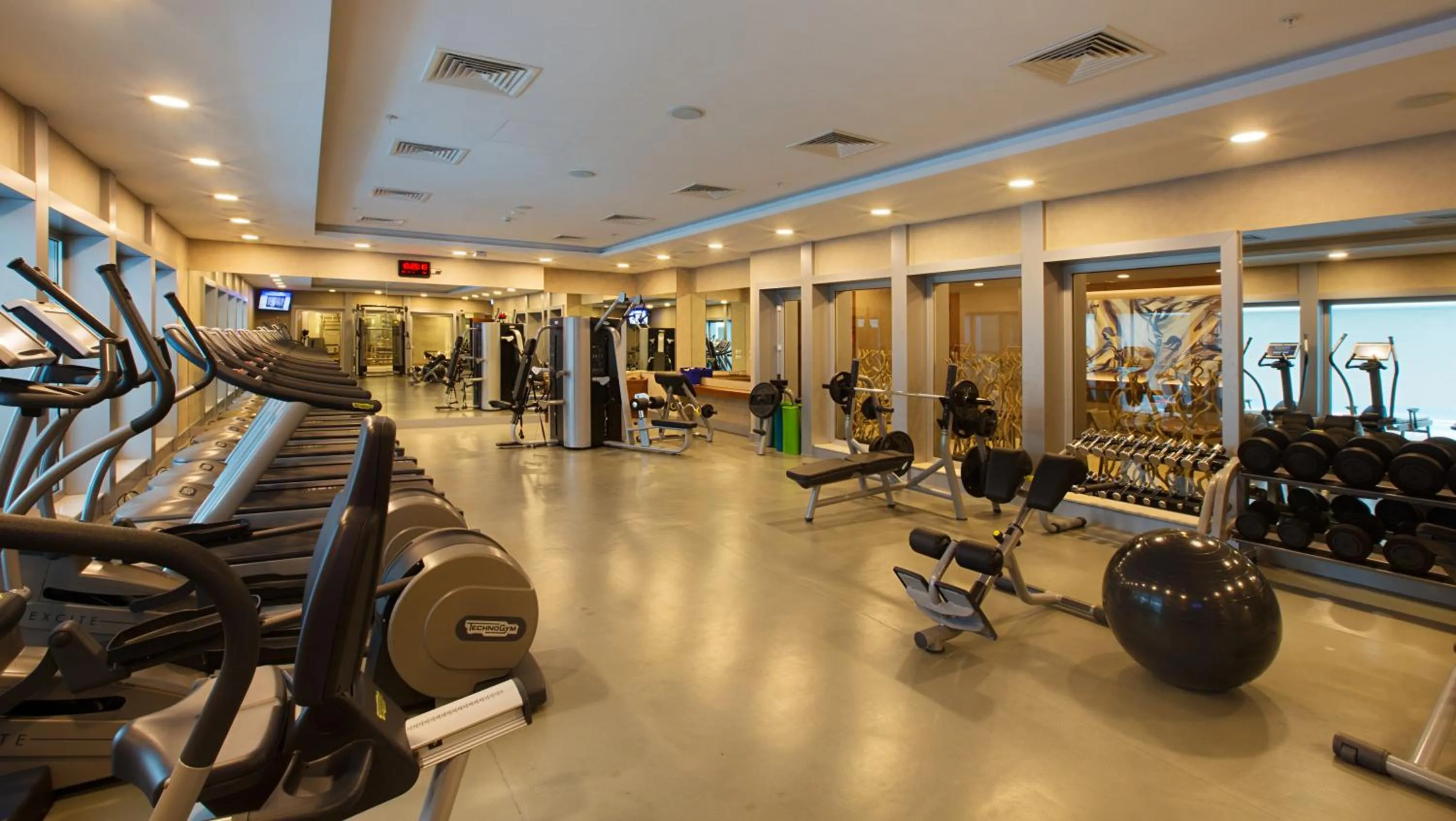 Fitness centre/facilities in Dedeman Bostanci Istanbul Hotel & Convention Center