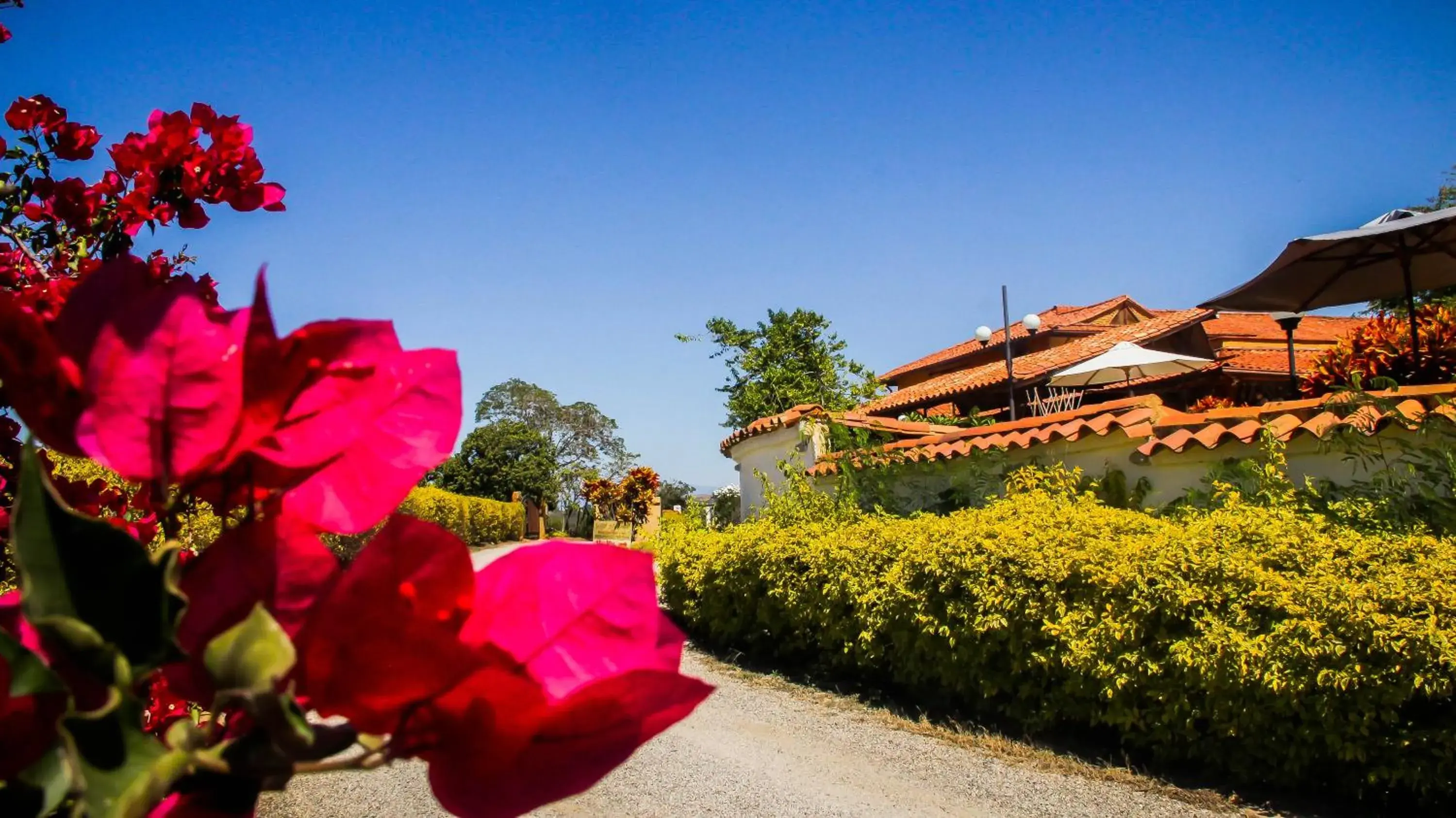 Facade/entrance, Property Building in Hotel Terra Barichara