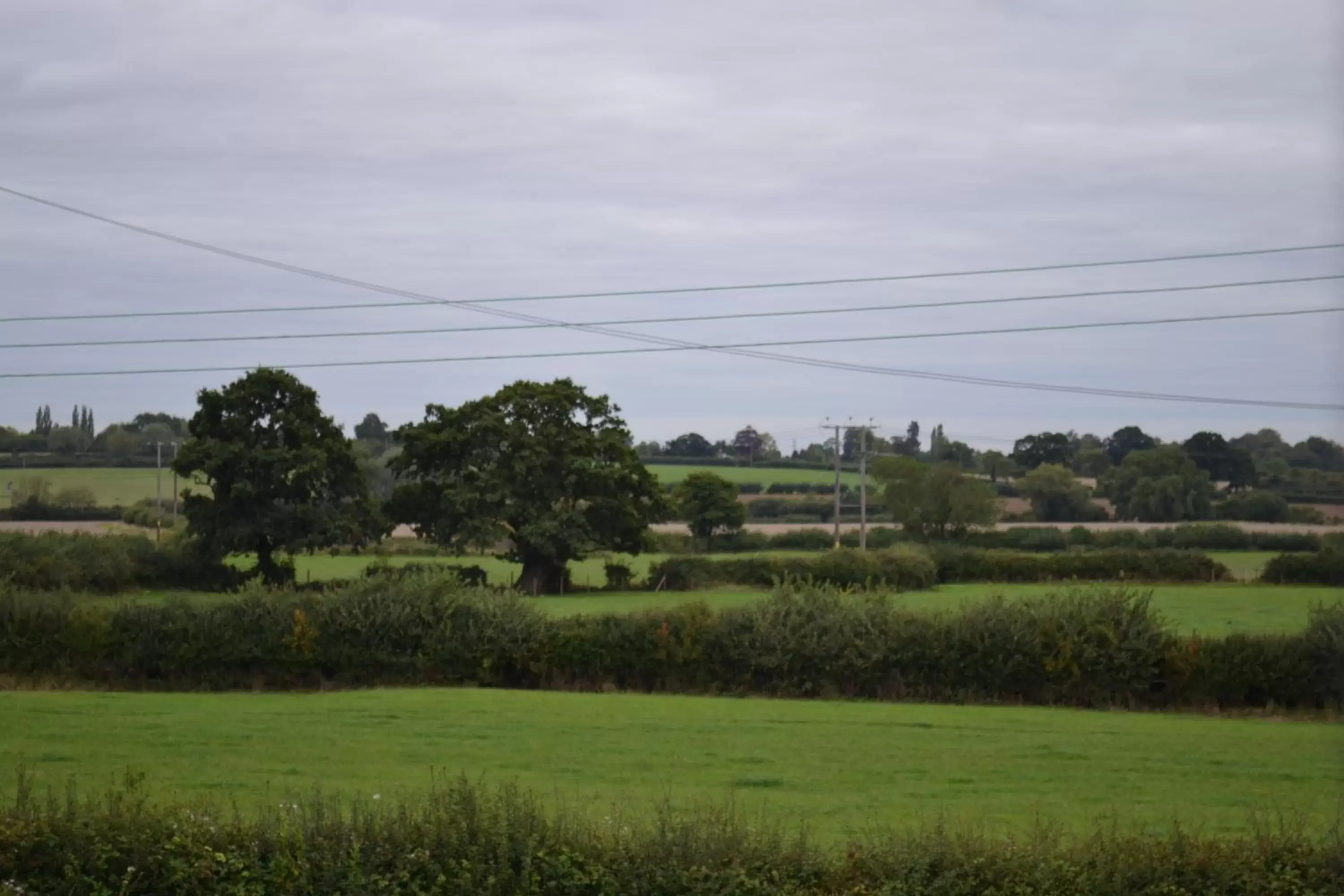 Natural landscape in Schoolhouse Restaurant and Hotel