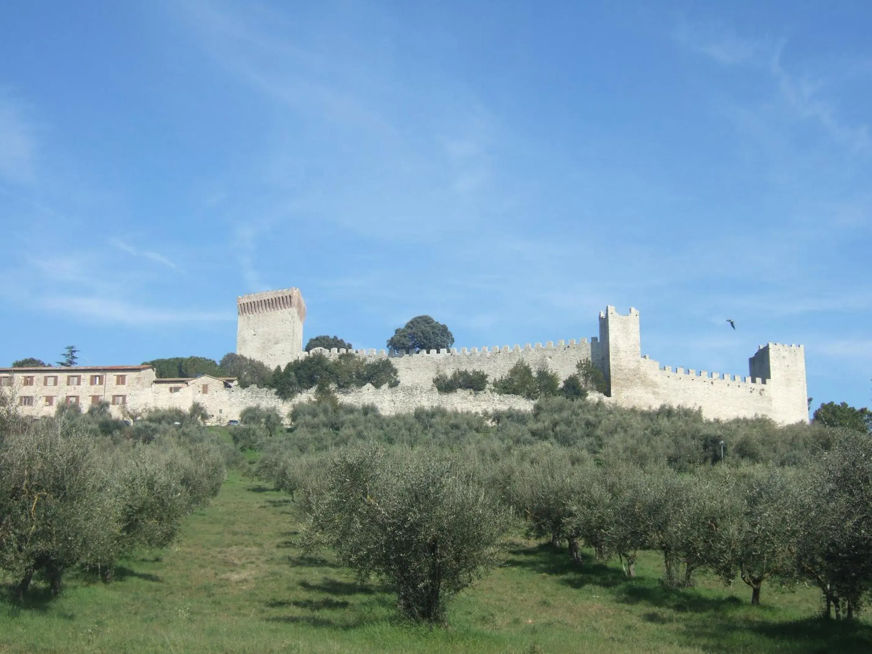 Area and facilities in Hotel La Torre