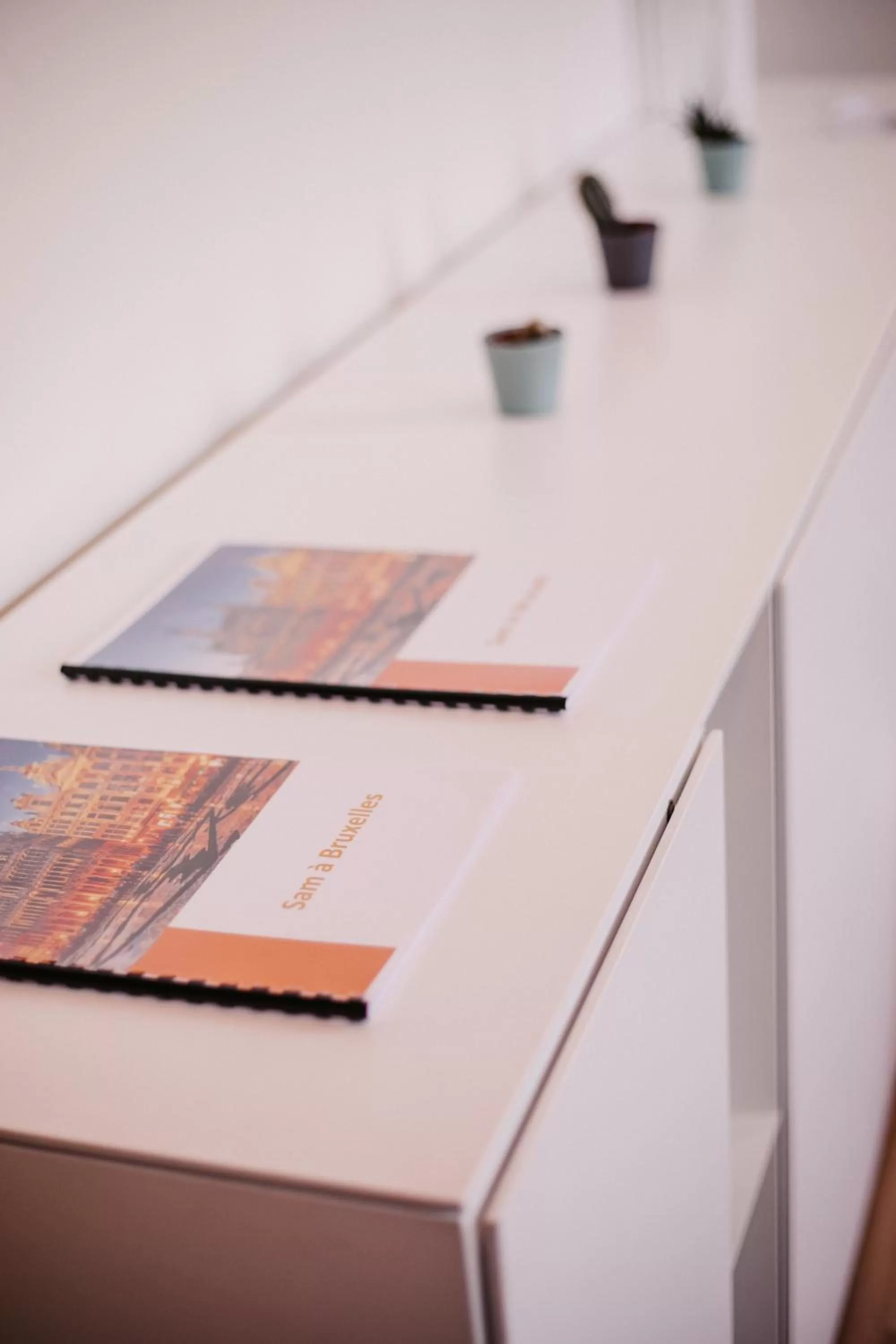 Lobby or reception in Central and Cozy in Brussels