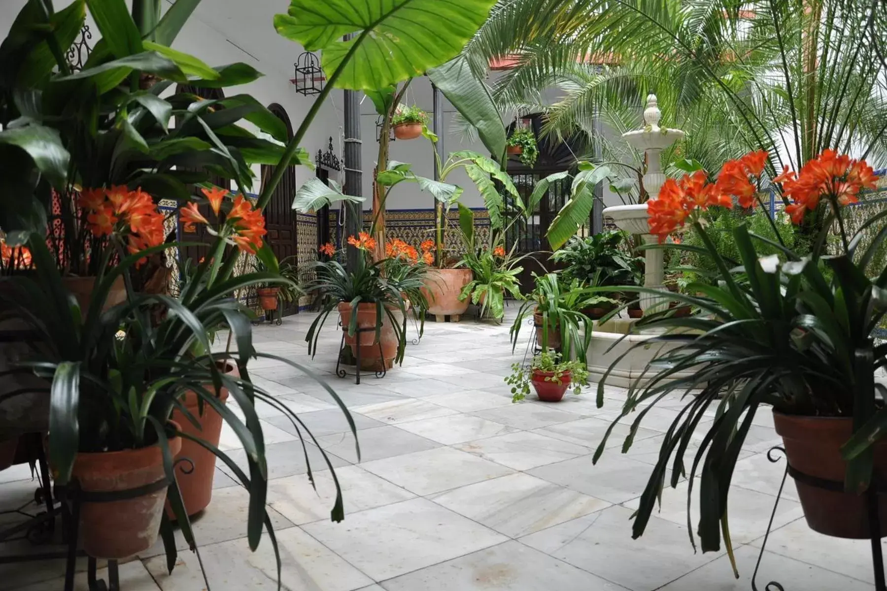 Balcony/Terrace in Hotel Casa de los Azulejos