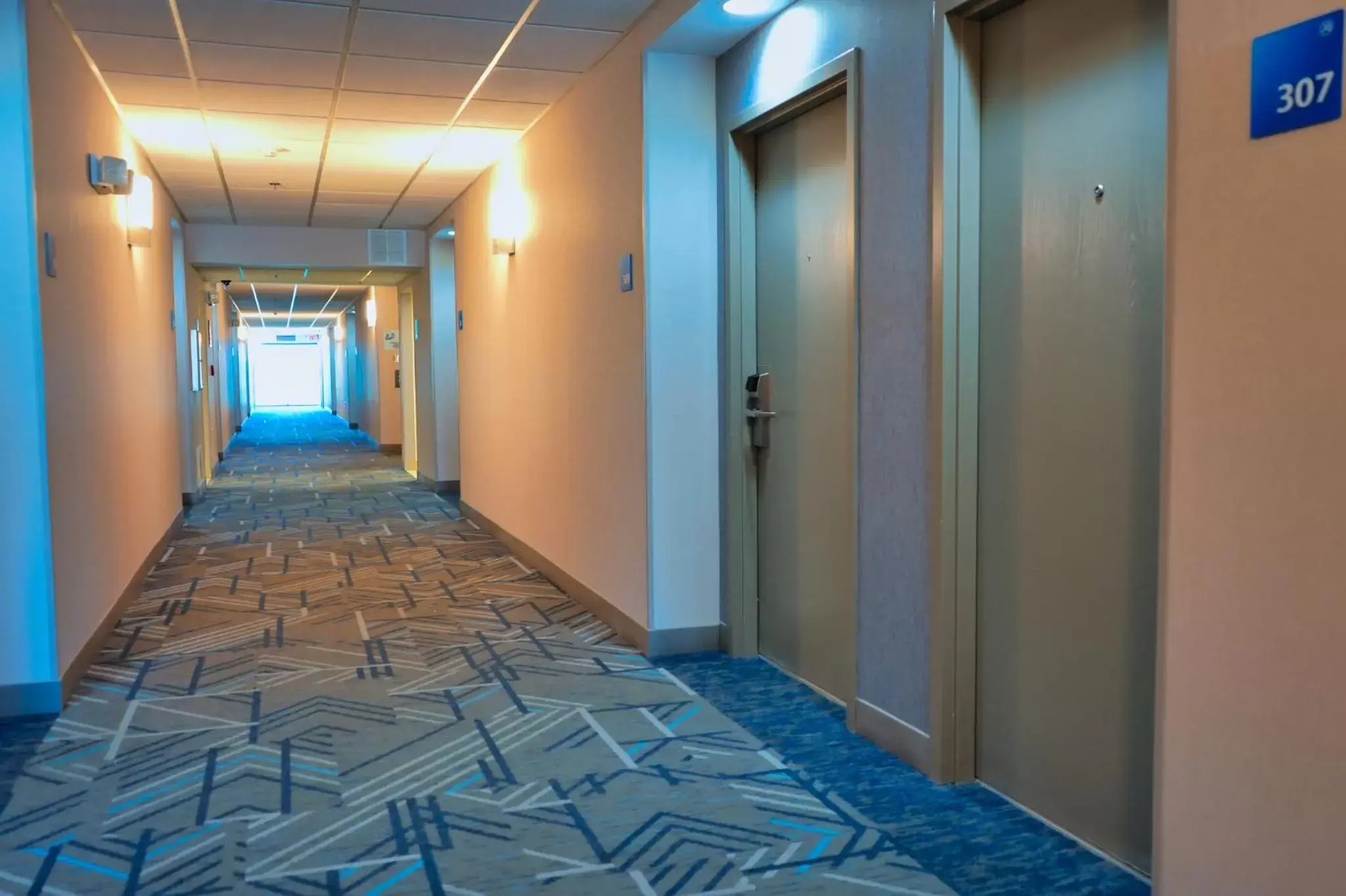 Property building in Holiday Inn Express Hotel & Suites Tampa-Oldsmar, an IHG Hotel