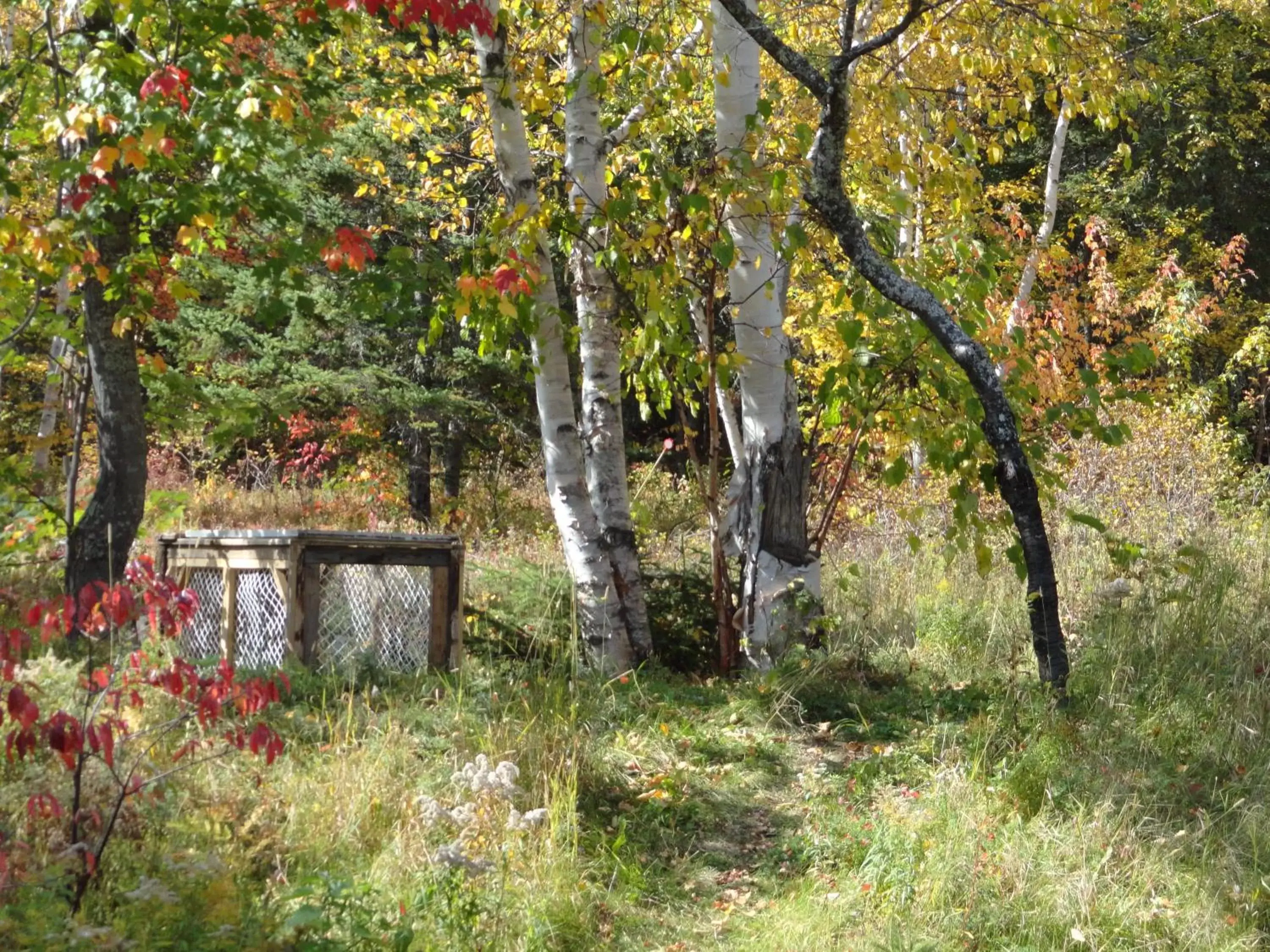 Natural Landscape in Auberge Carpe Diem