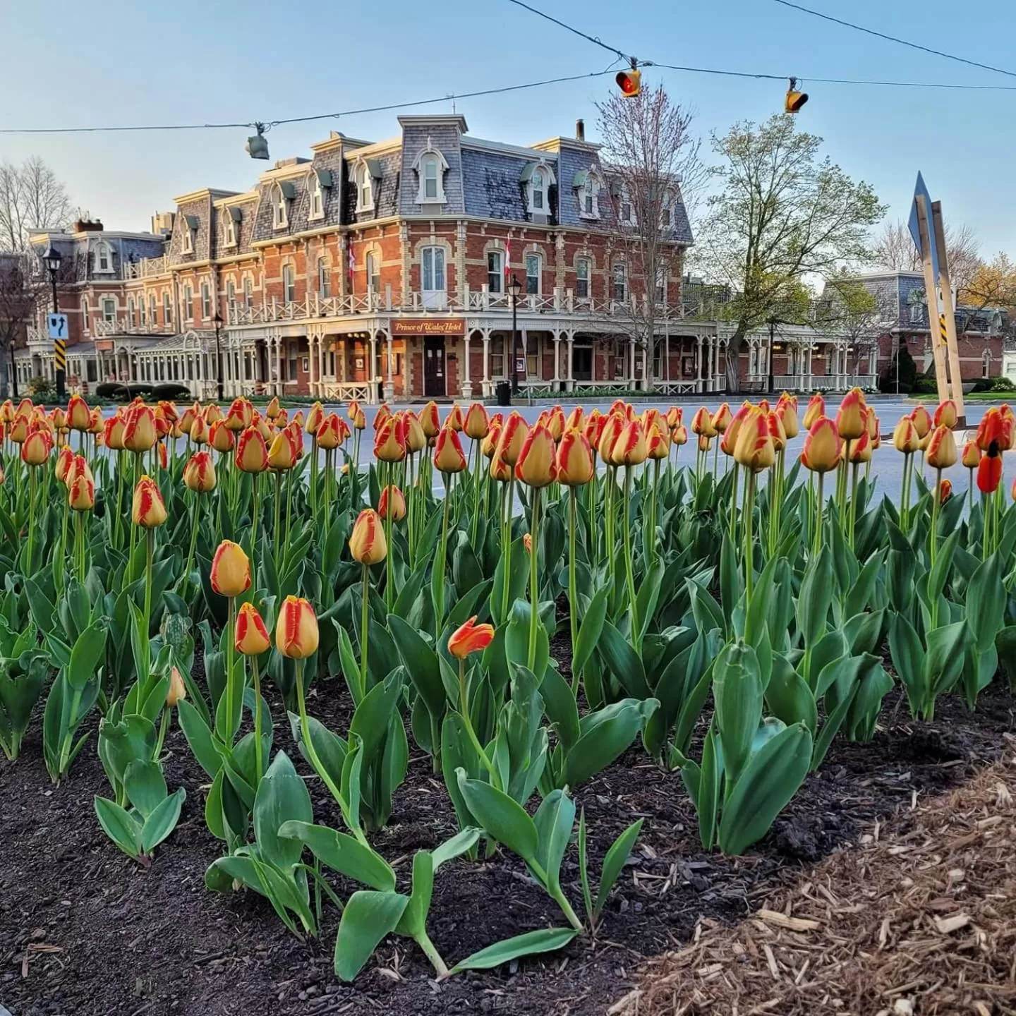 Location in La Maison de Sophie