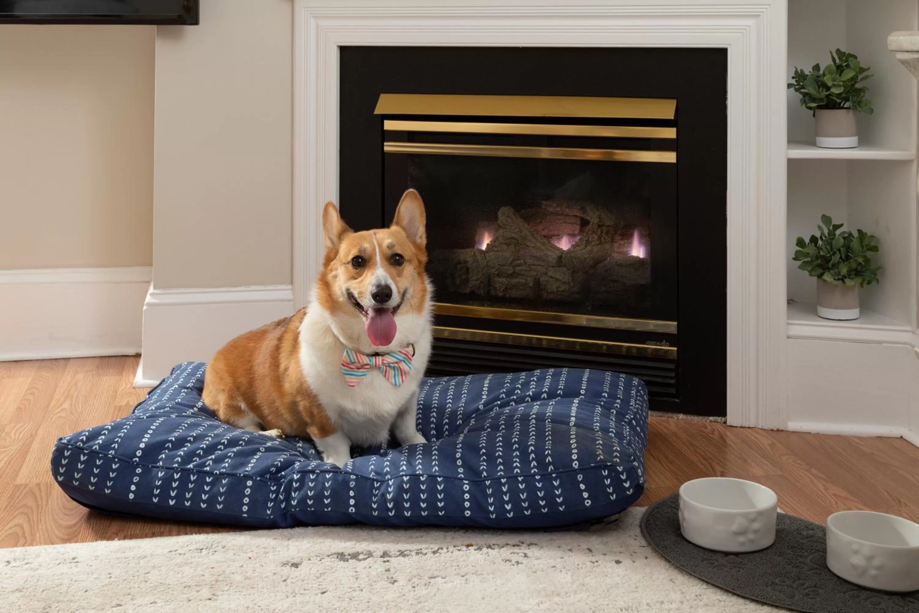 Pets in White Doe Inn Bed & Breakfast