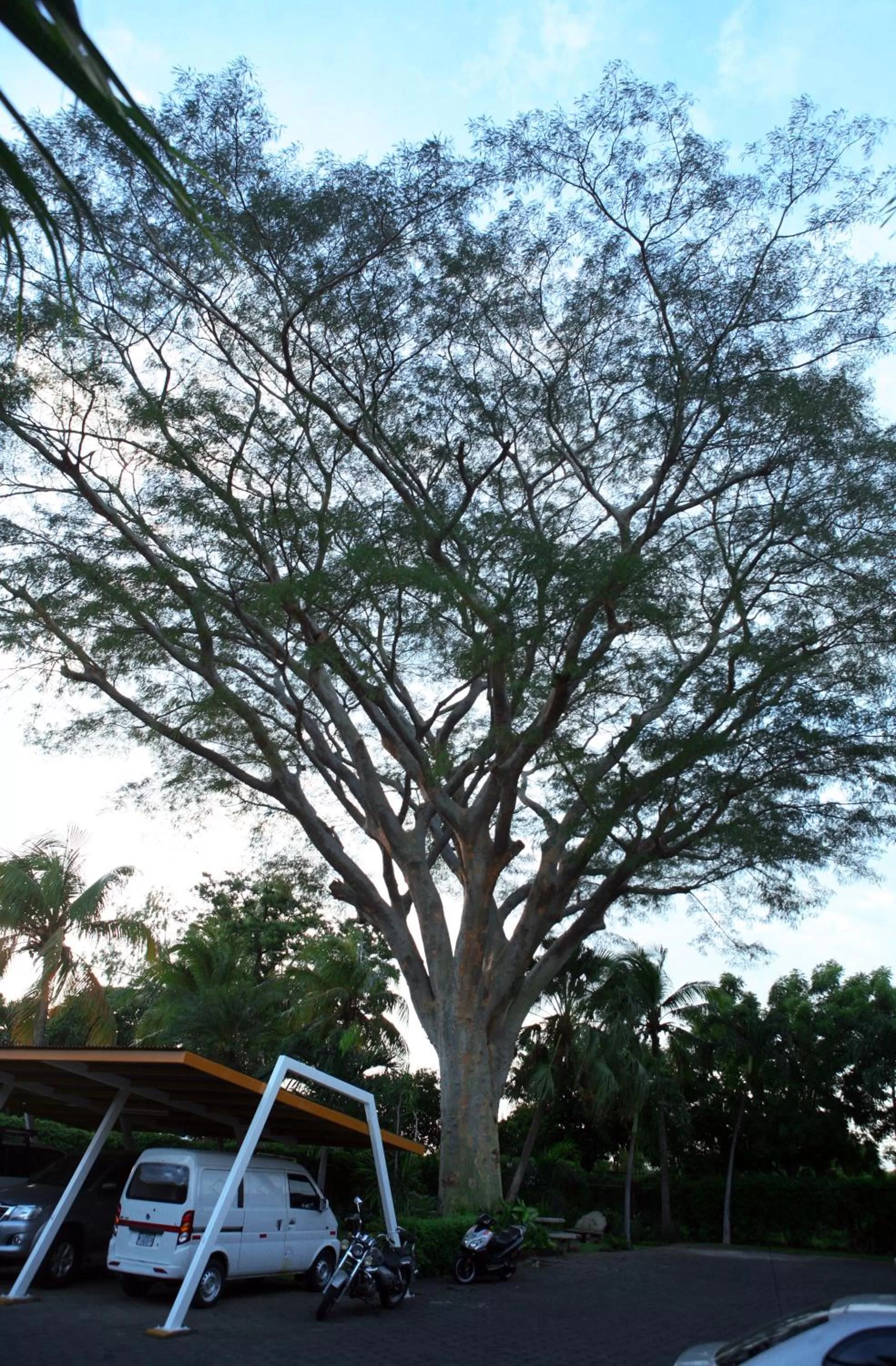 Garden view in Hotel Estrella