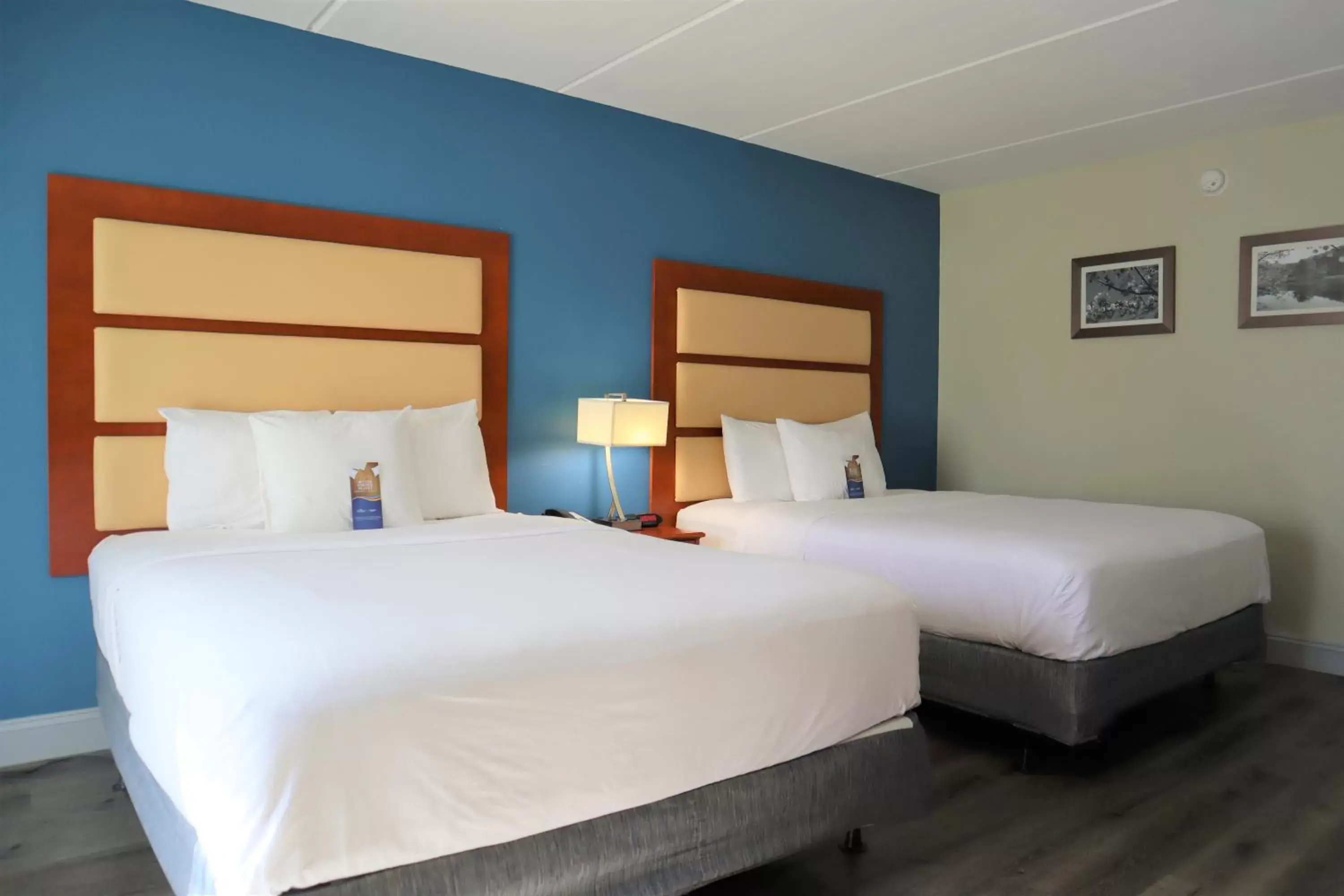 Queen Room with Two Queen Beds - Non-Smoking in Baymont by Wyndham Norcross Atlanta Queen Room with Two Queen Beds - Non-Smoking in Baymont by Wyndham Norcross Atlanta