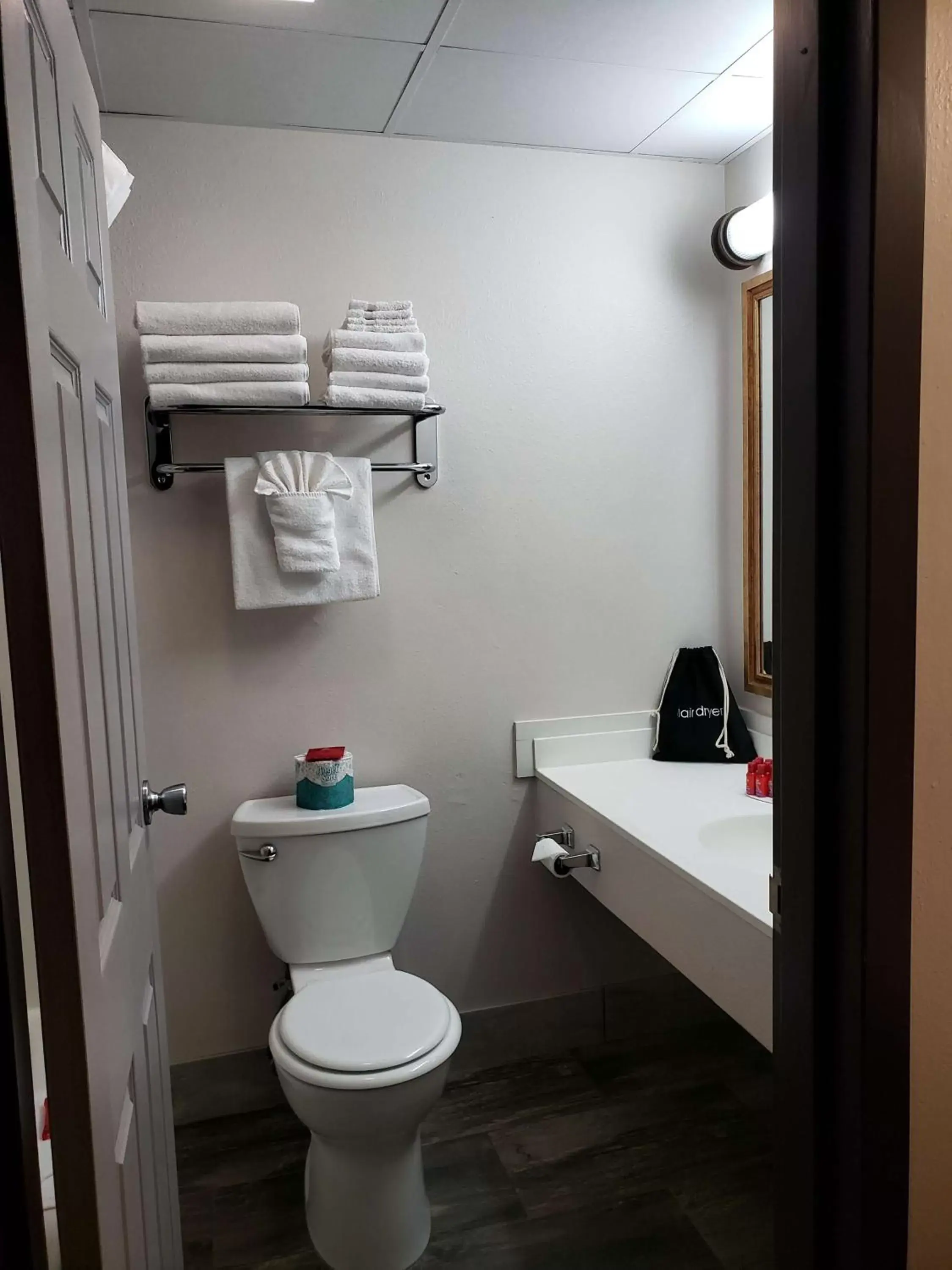 Toilet, Bathroom in SureStay Plus Hotel by Best Western Grand Island