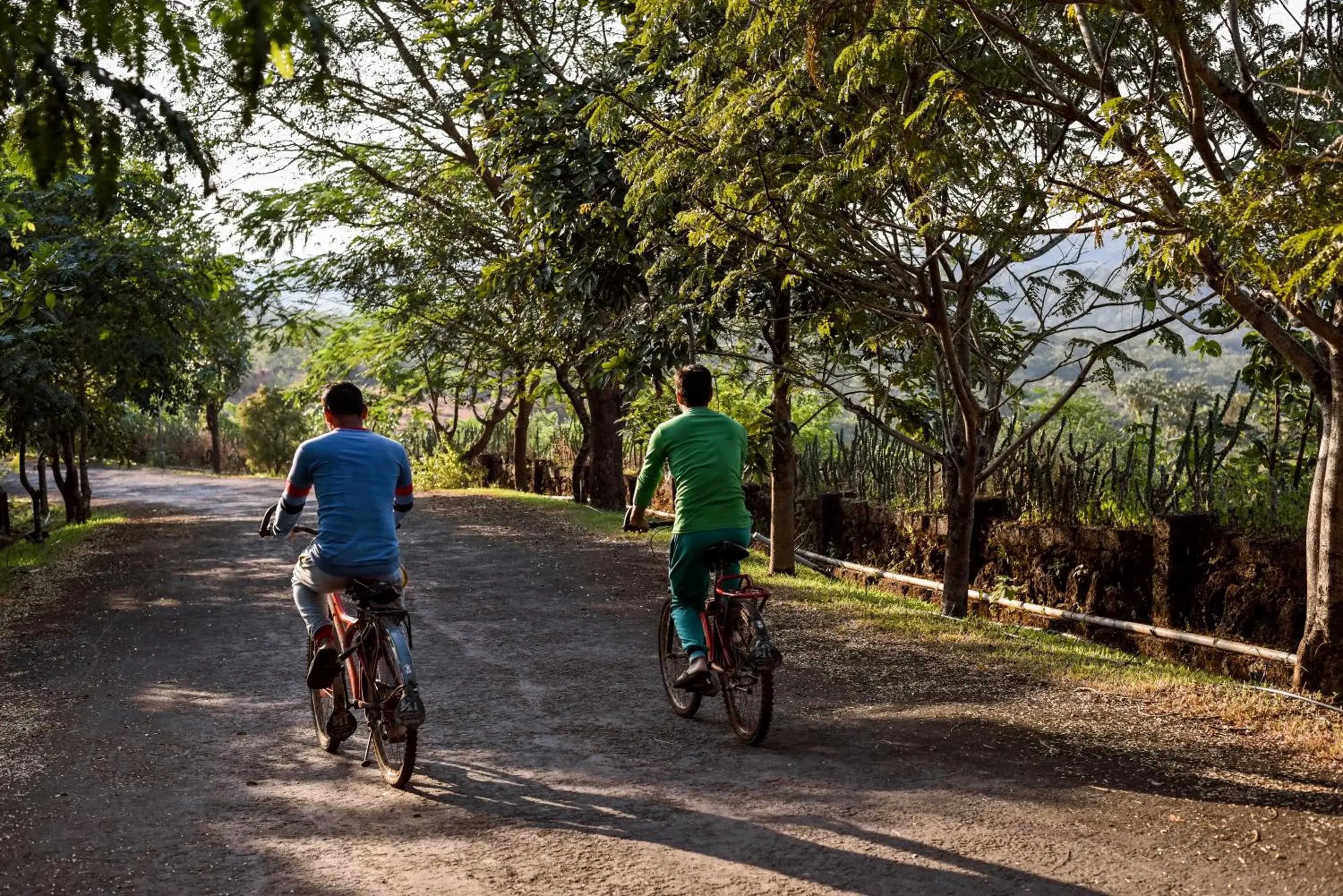 Activities, Biking in The Fern Samali Resort