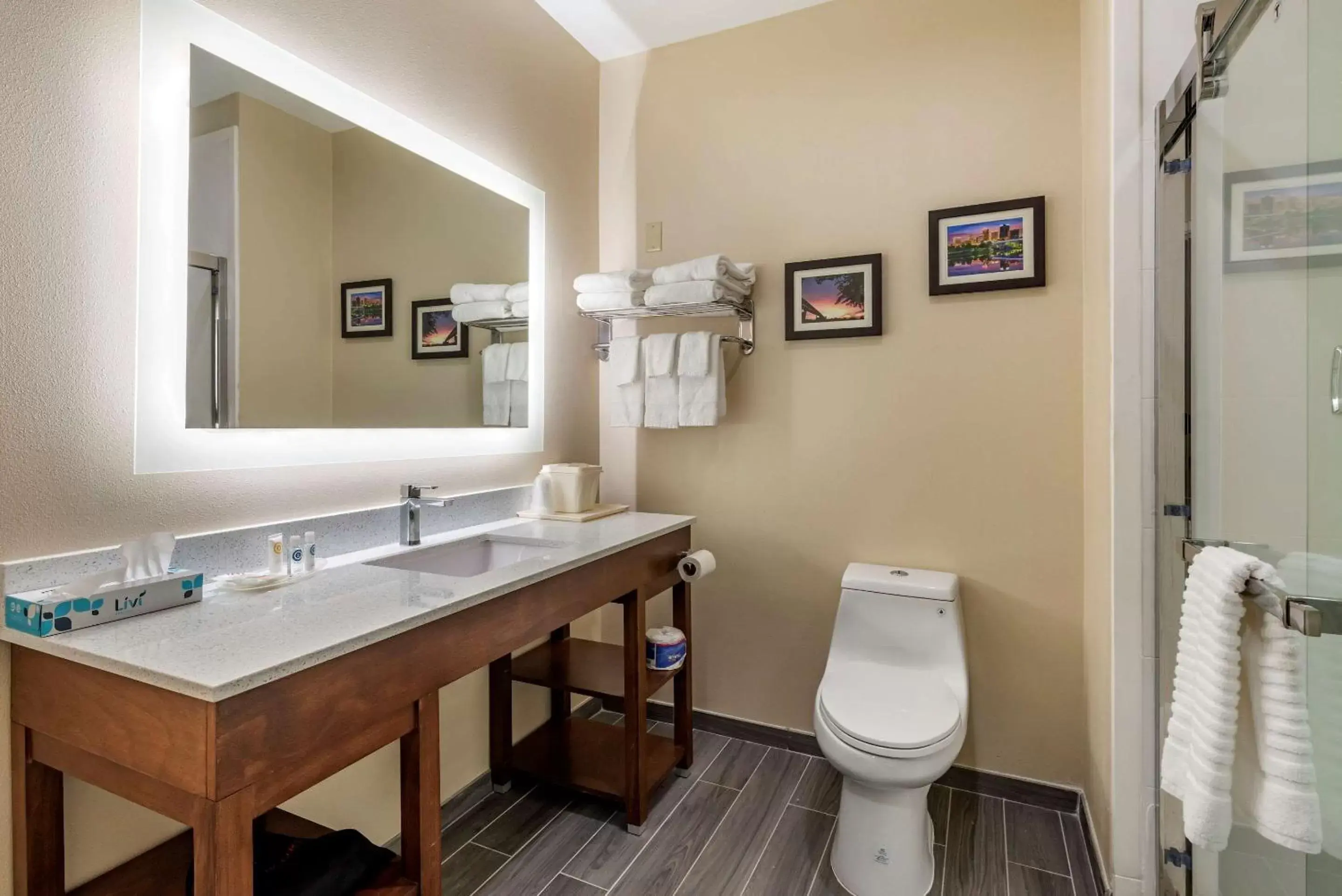 Bathroom in Comfort Suites West Memphis I-40 I-55