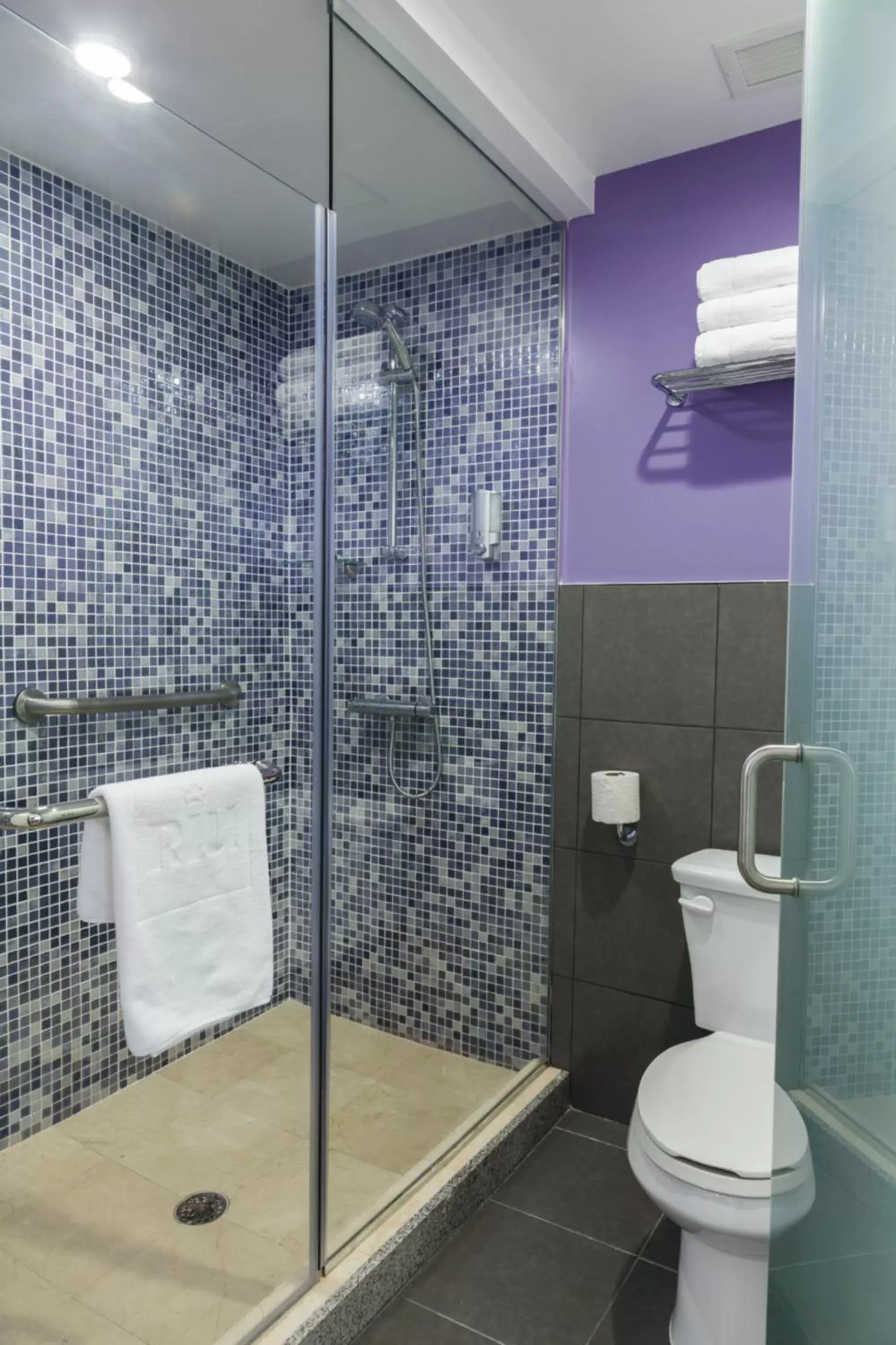 Bathroom in Riu Plaza Miami Beach