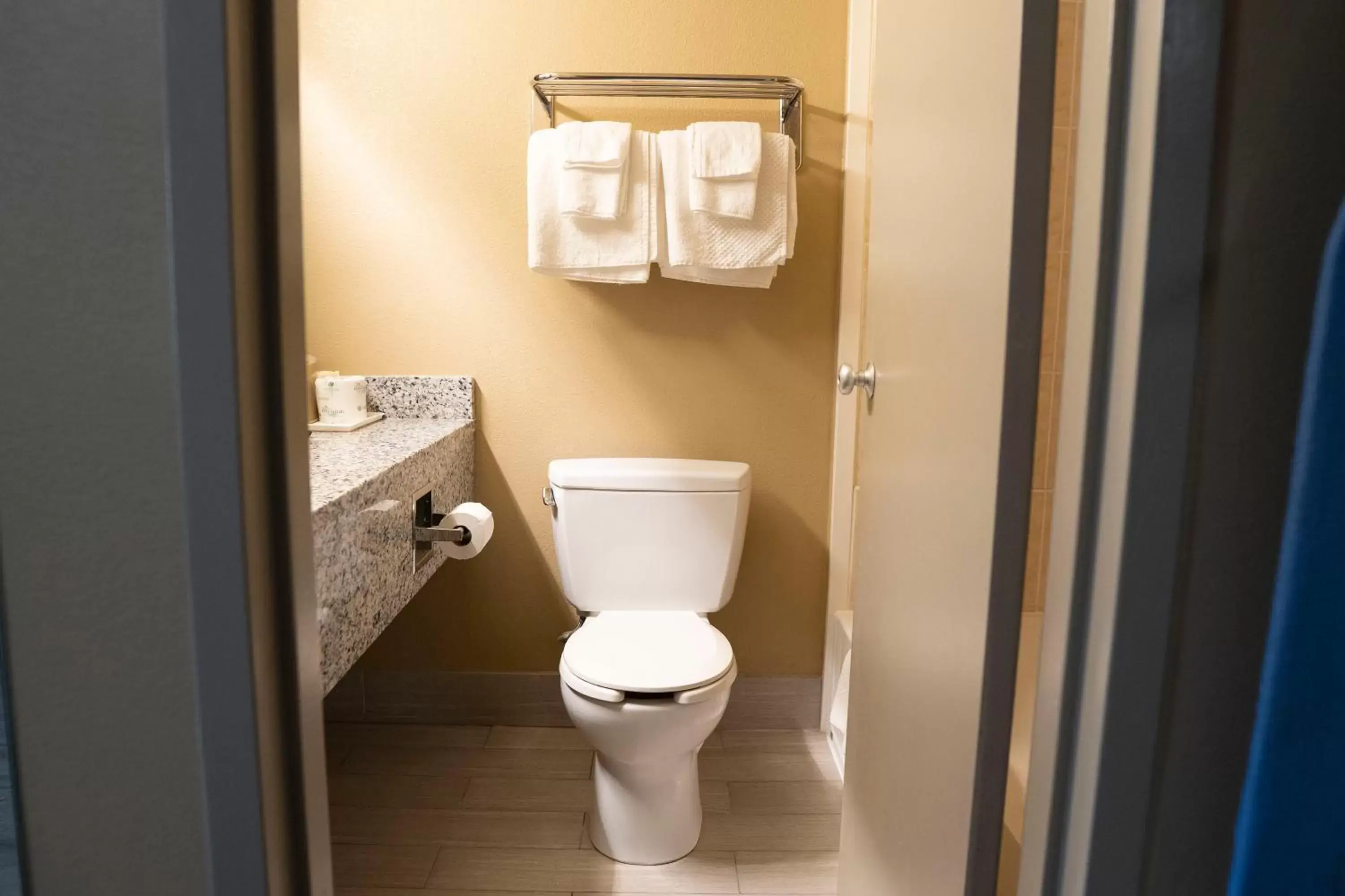 Toilet, Bathroom in Framingham Inn