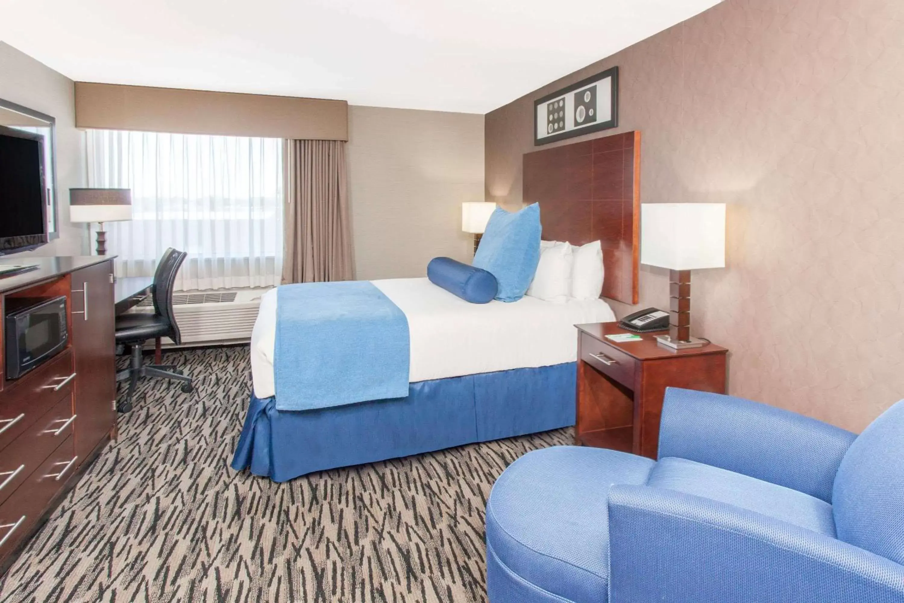 Photo of the whole room, Bed in Wyndham Garden Elk Grove Village - O'Hare