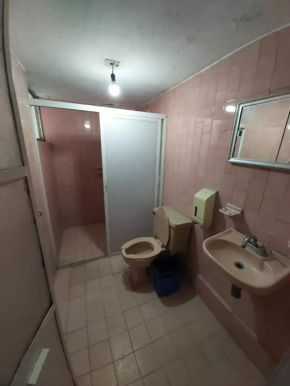 Toilet, Bathroom in Hotel Ayalamar Manzanillo