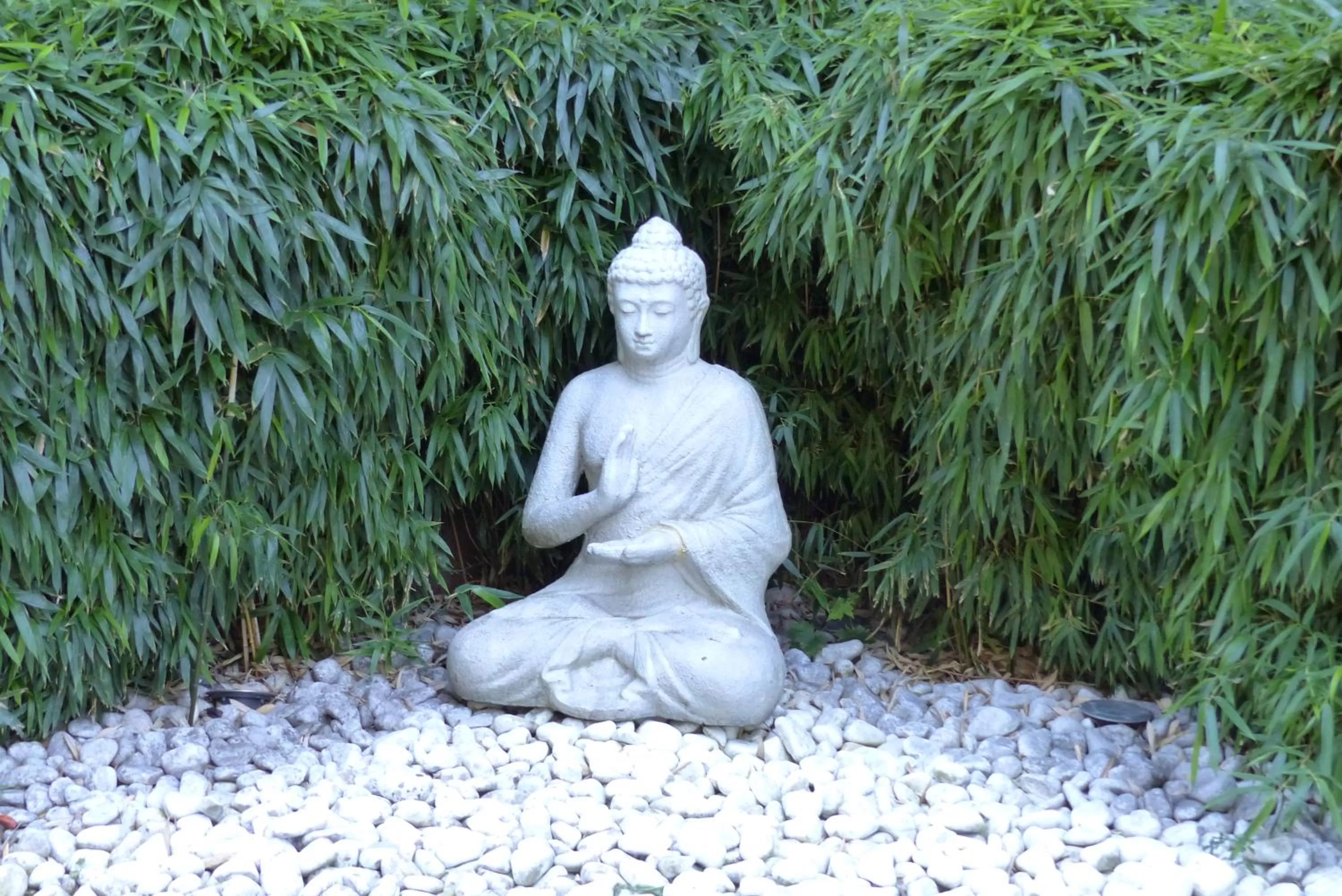 Garden in ibis Paris Meudon Velizy