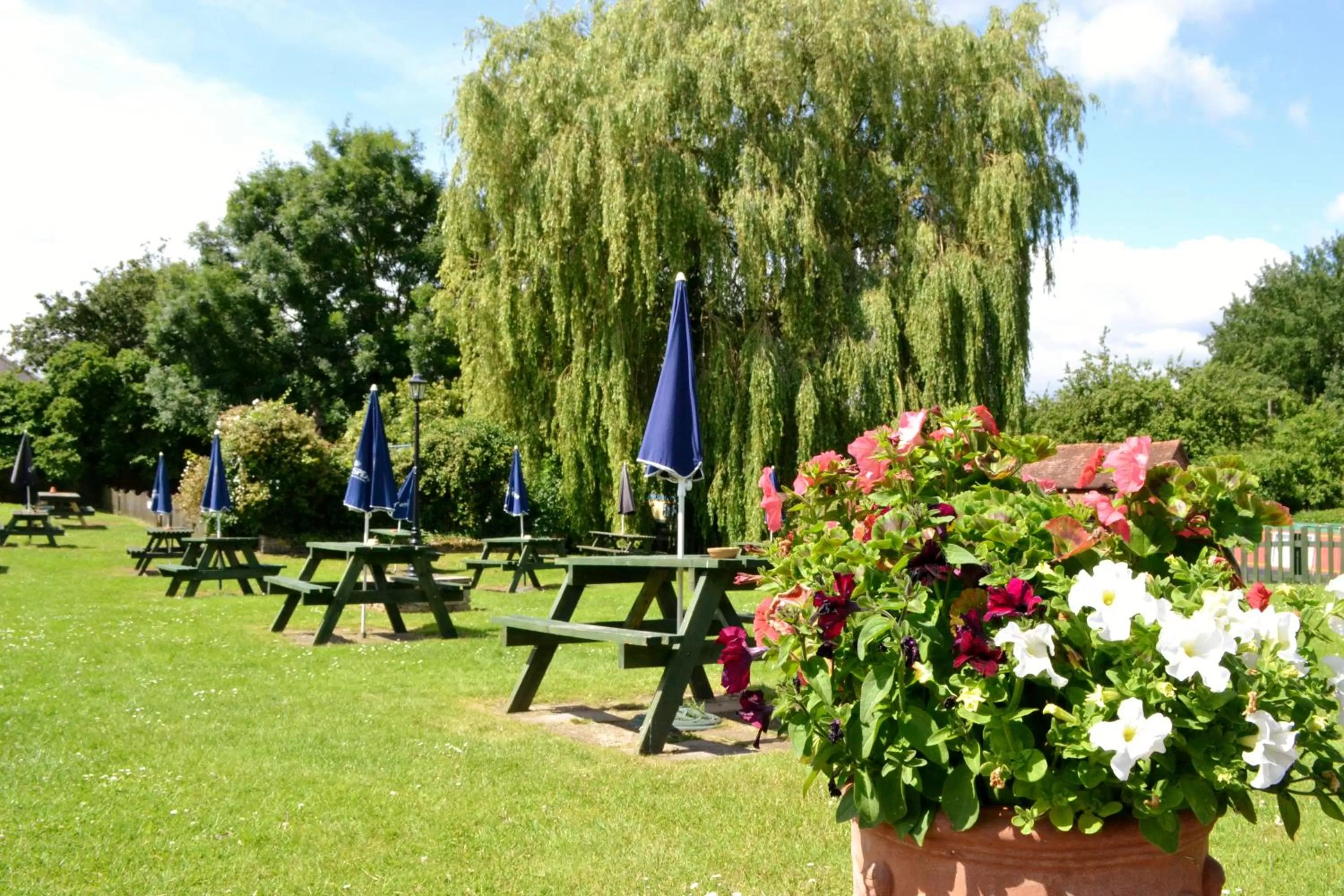 Garden in The Highwayman Hotel