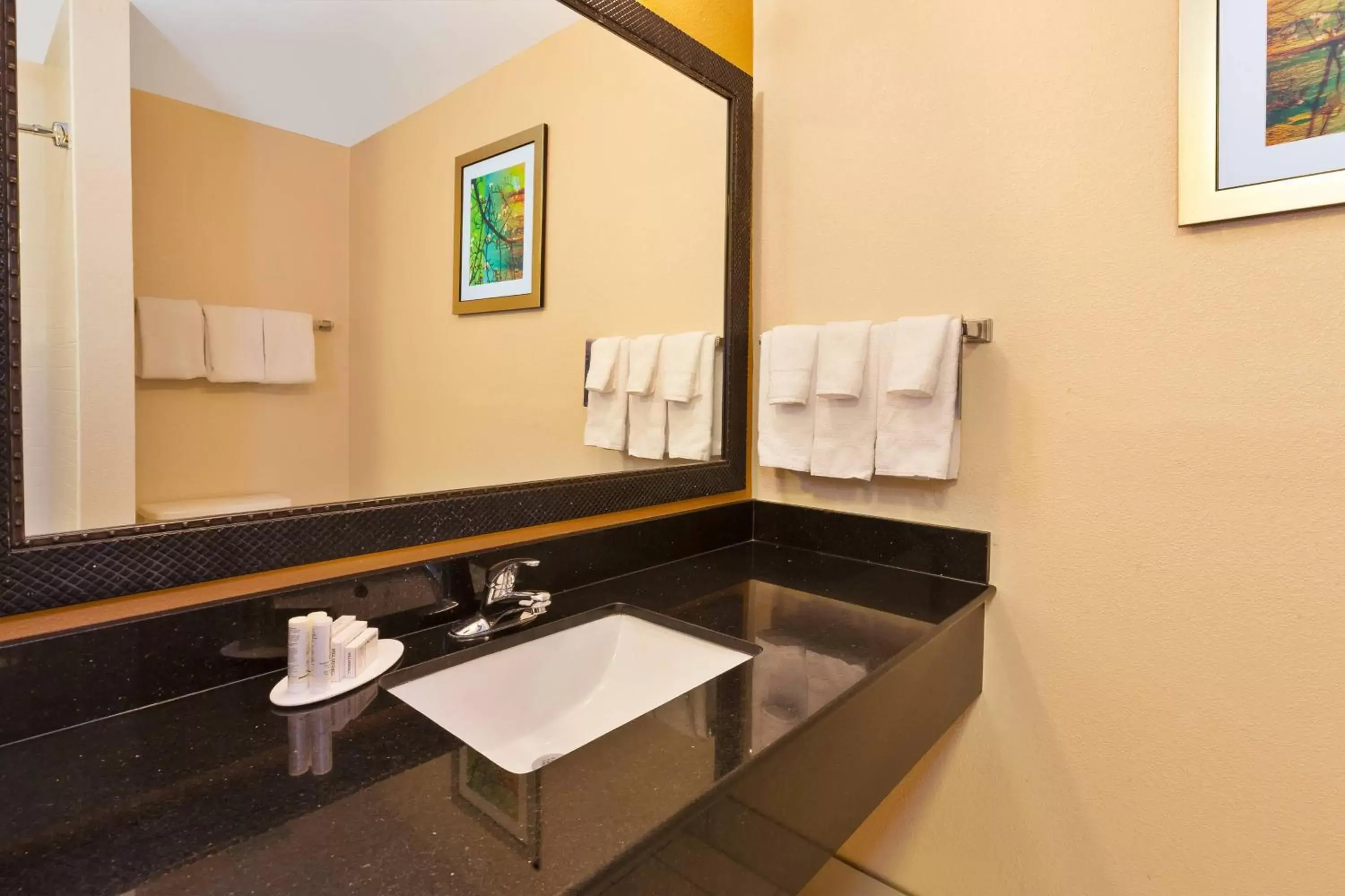 Bathroom in Fairfield Inn & Suites by Marriott Columbus East