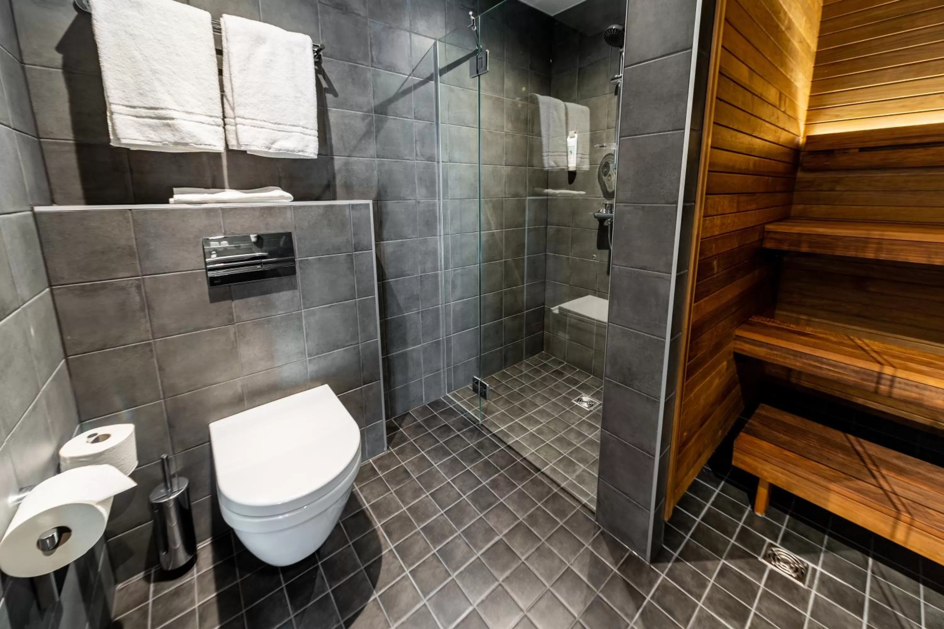 Toilet in ibis Tallinn Center