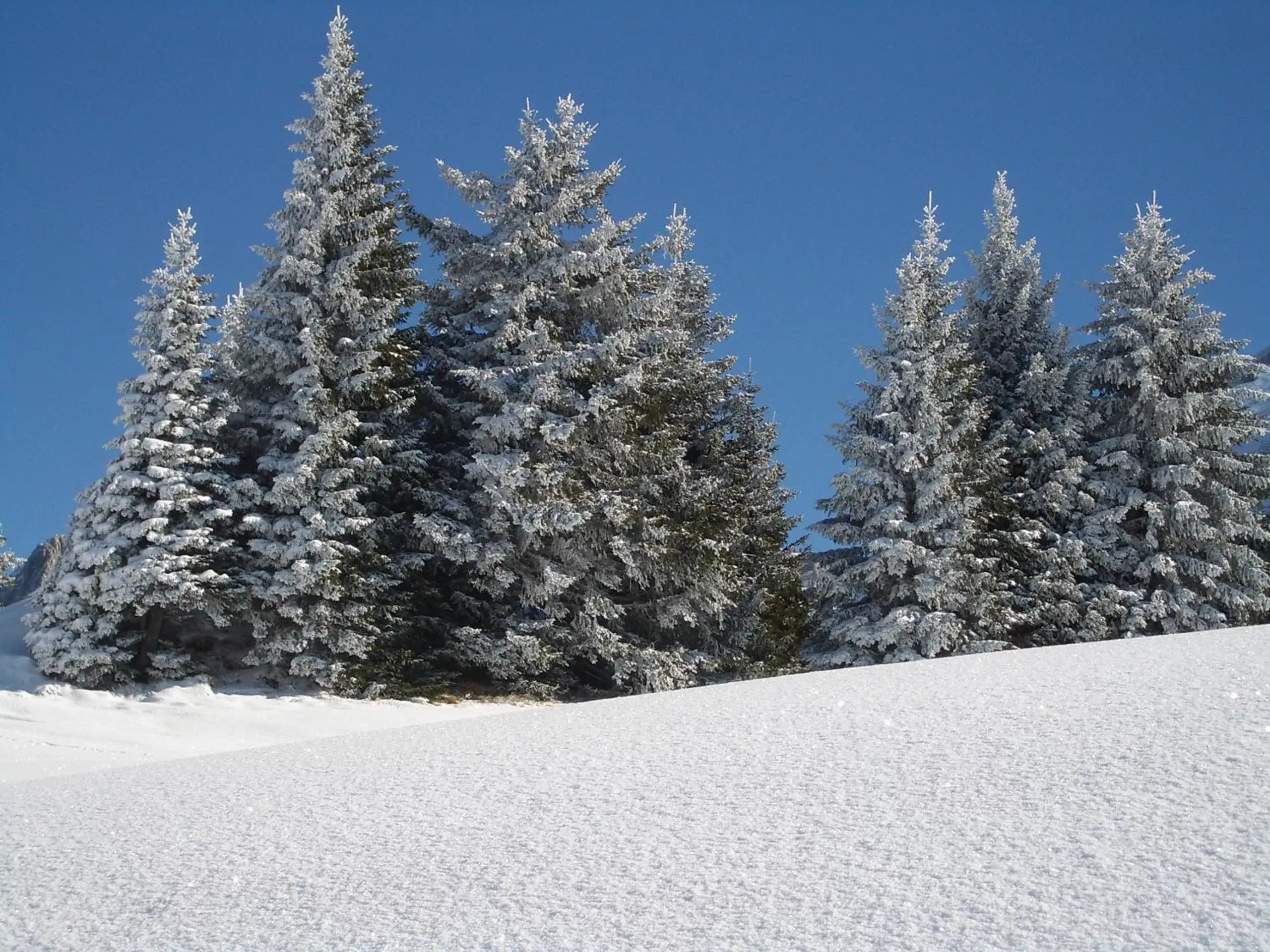 Winter in Hotel Binelli