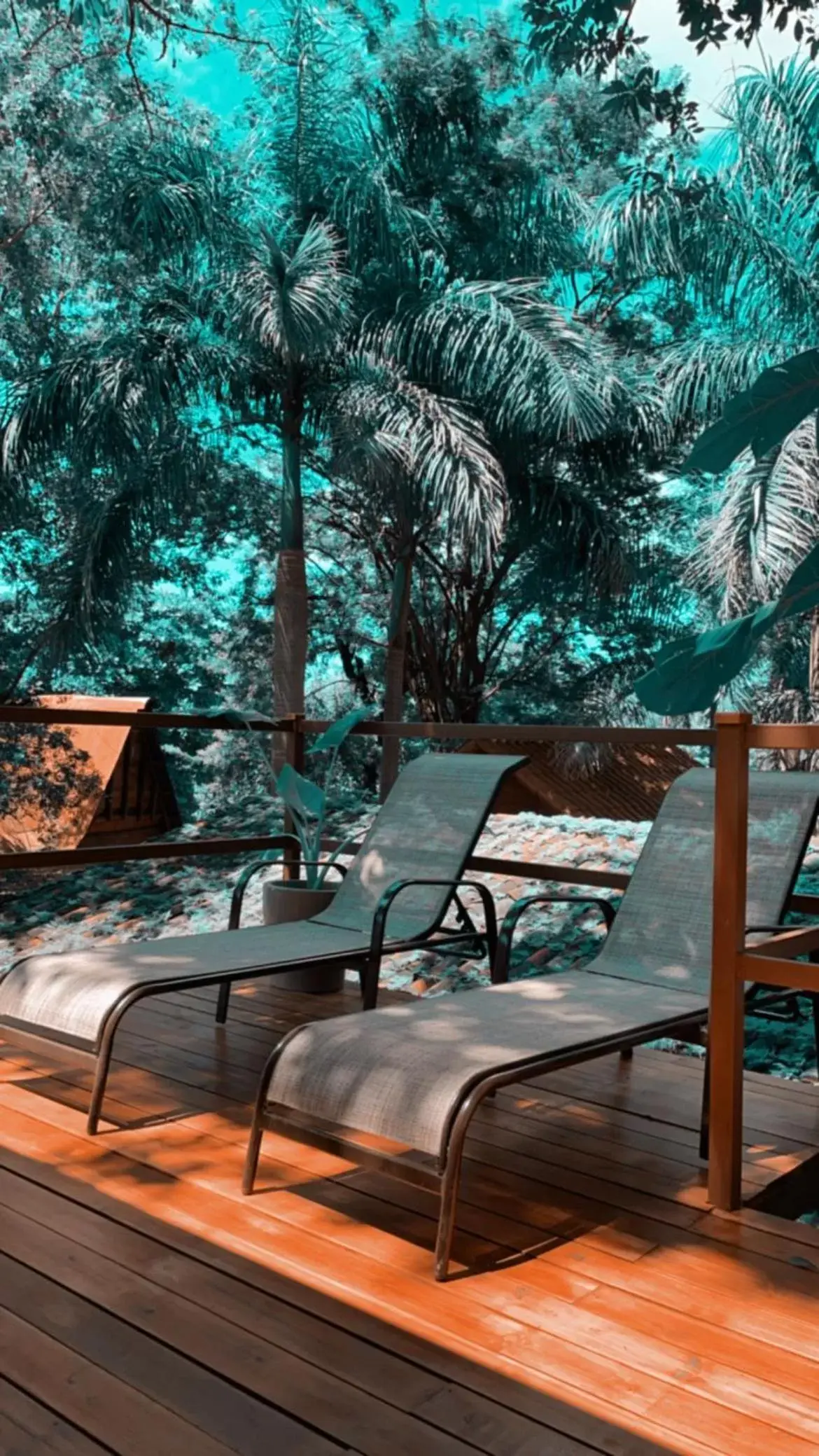 The Beach Bungalows - Digital Nomad Friendly - Adults Only