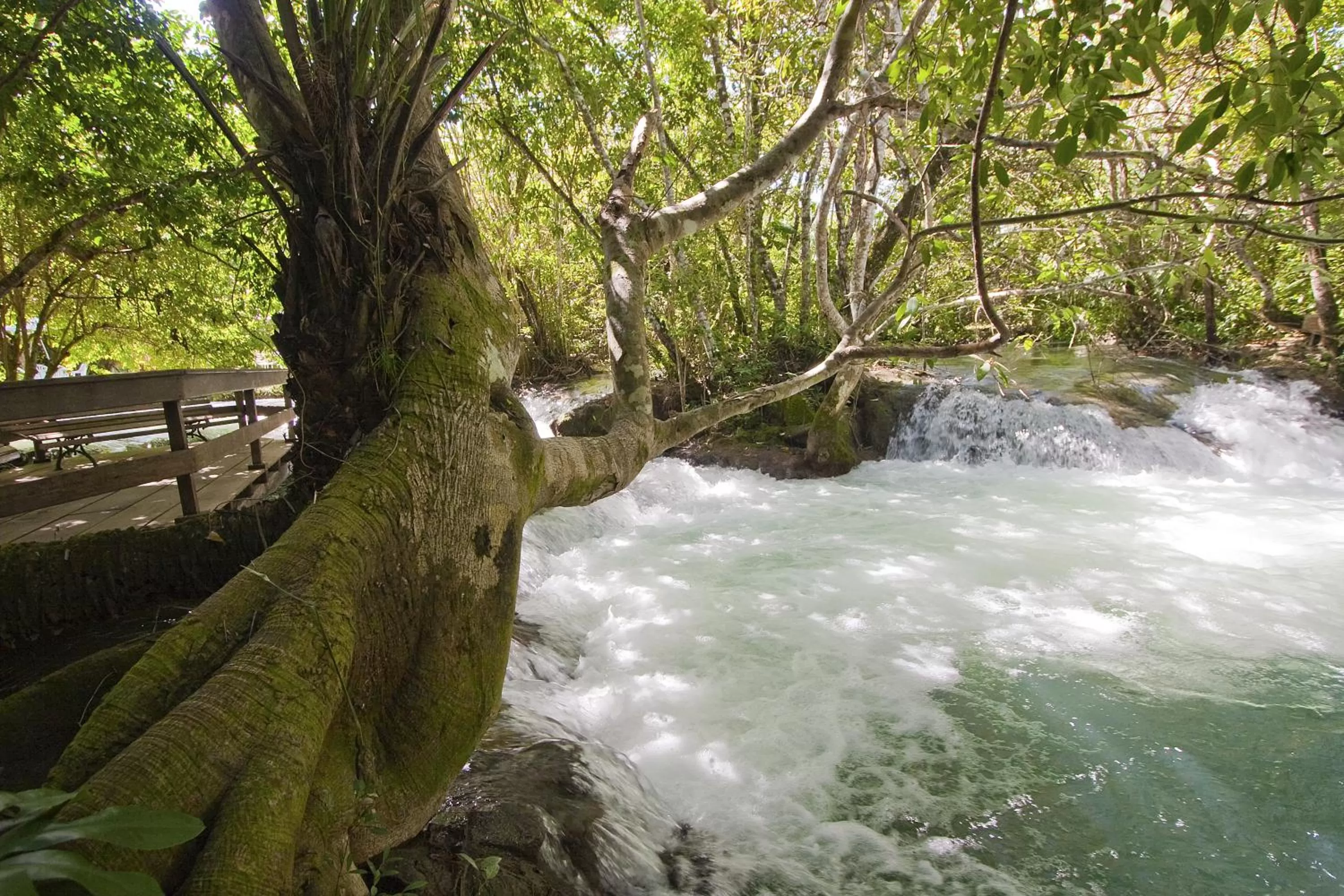 Natural landscape in Hotel Santa Esmeralda
