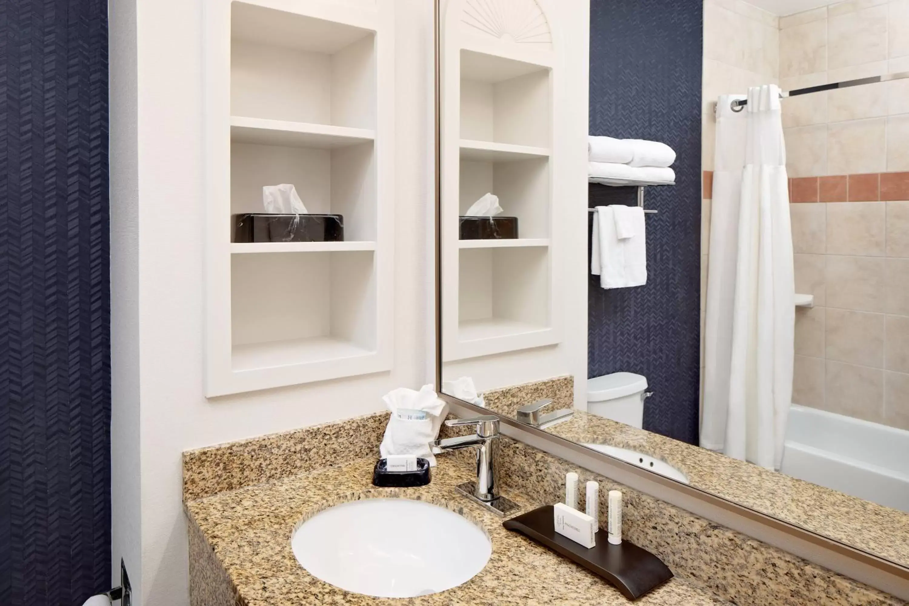 Bathroom in Fairfield Inn & Suites San Angelo