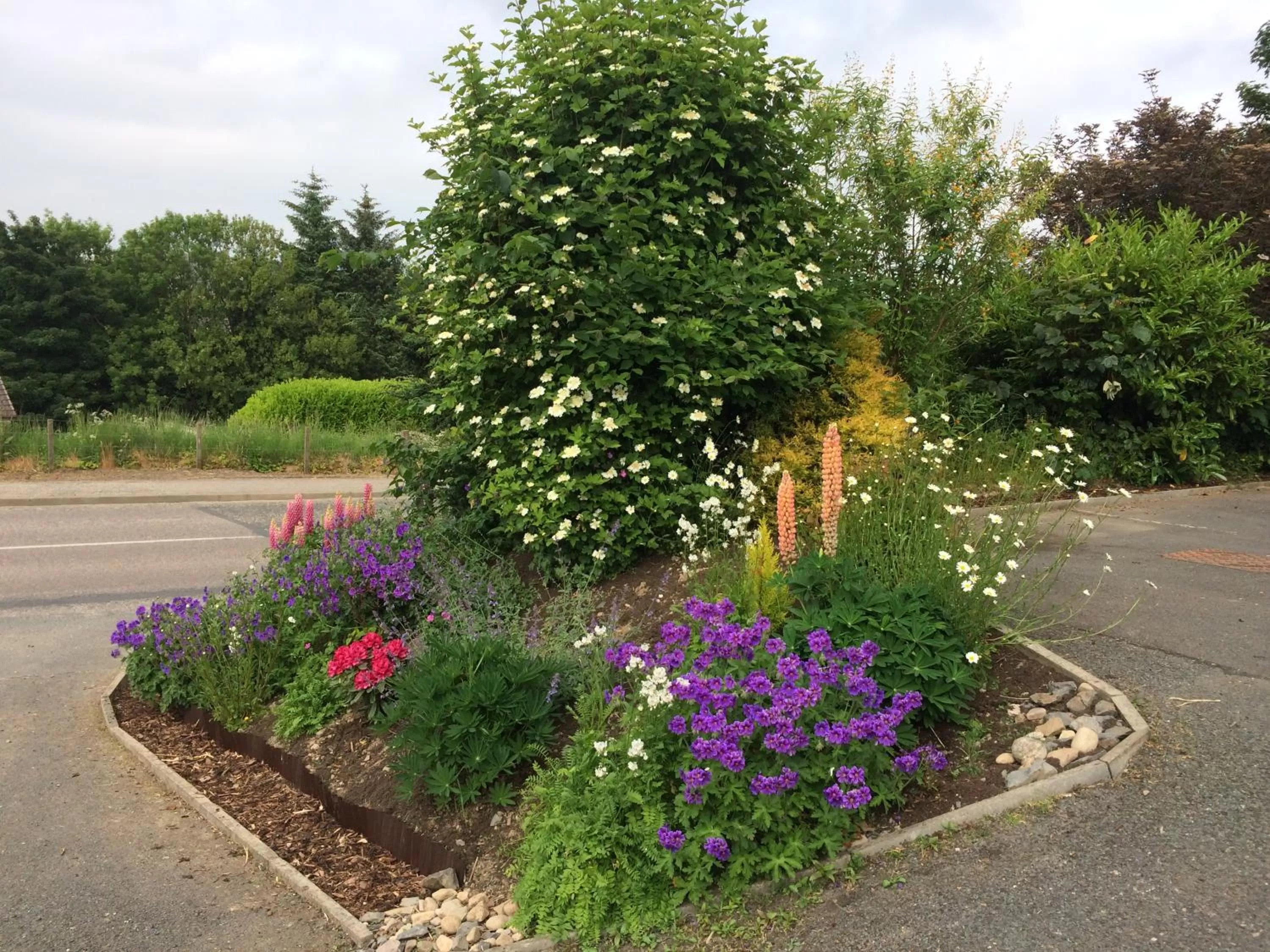 Garden view in Deveron Lodge Guest House