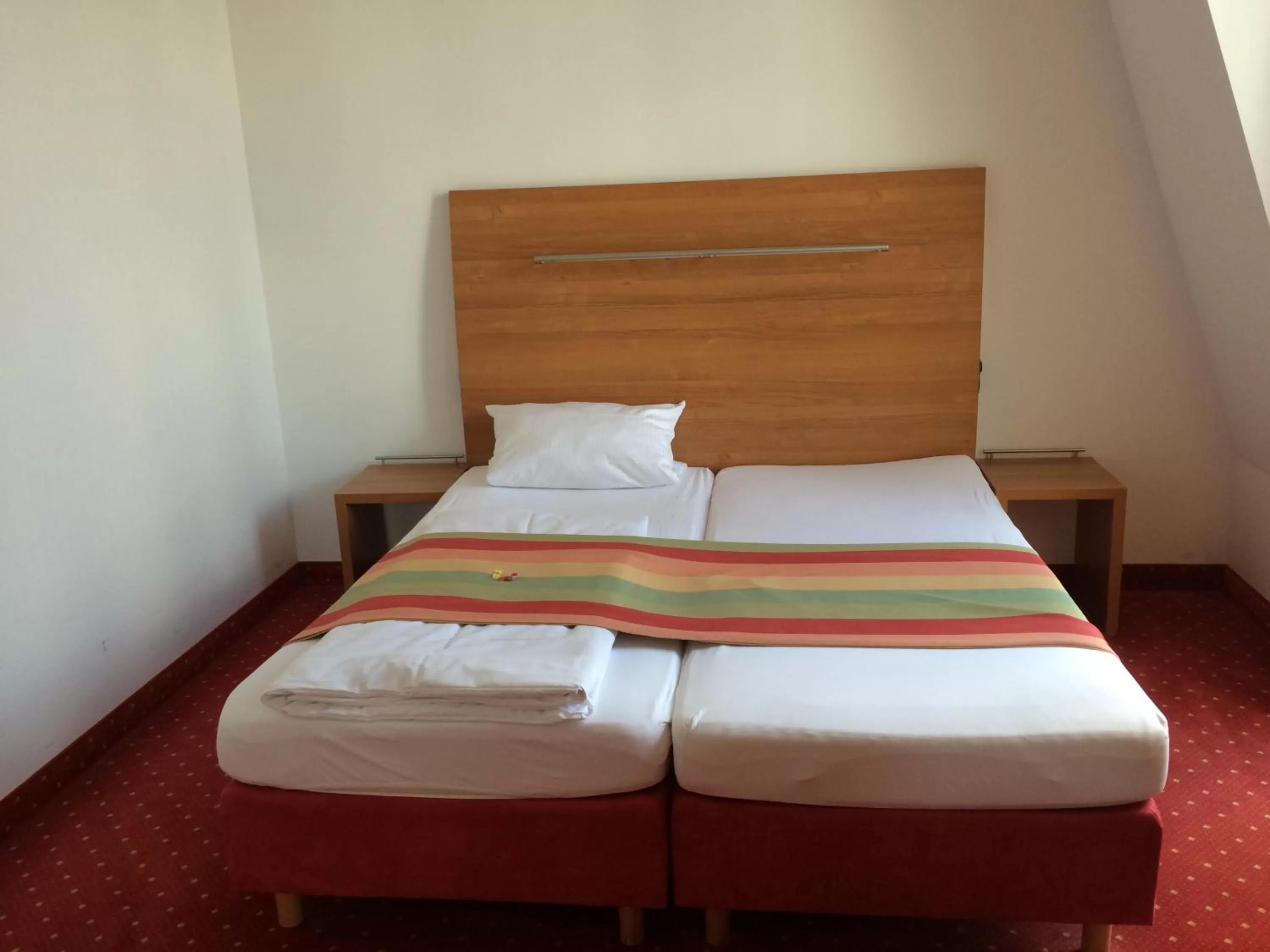 Double Room in Hotel Ambert