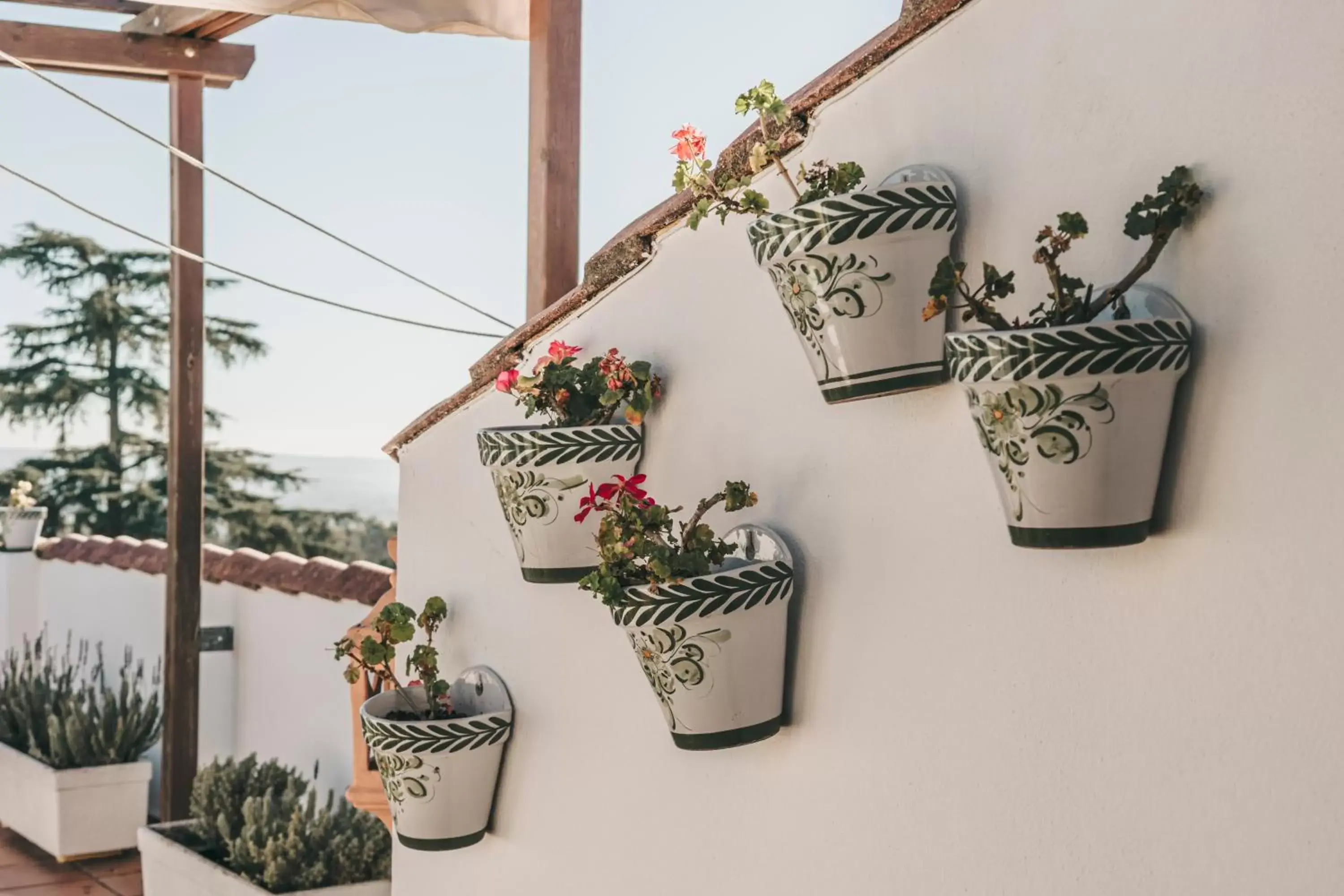 Facade/entrance in Crisol Jardines de Córdoba Facade/entrance in Crisol Jardines de Córdoba