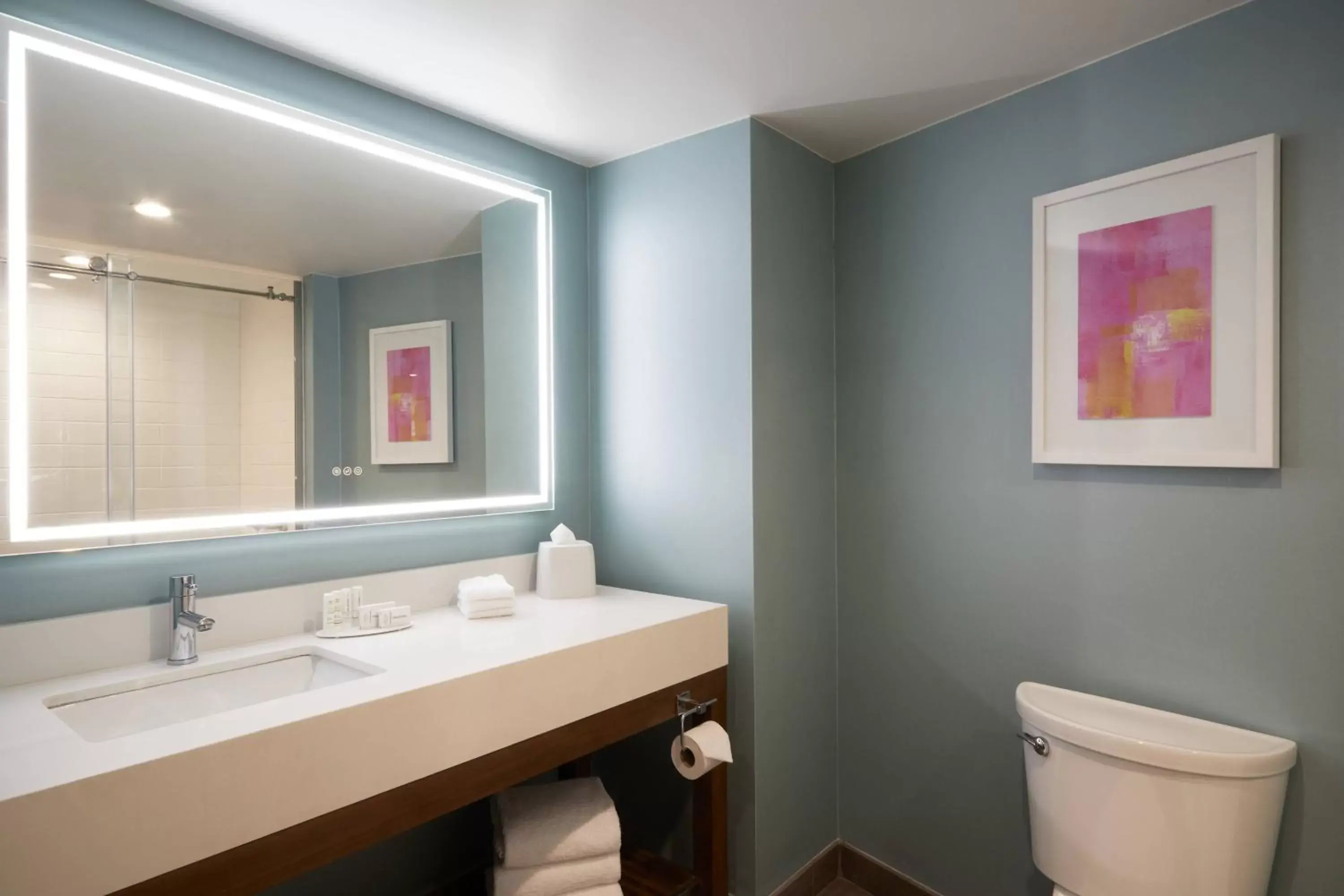 Bathroom in Fairfield Inn & Suites By Marriott Camarillo