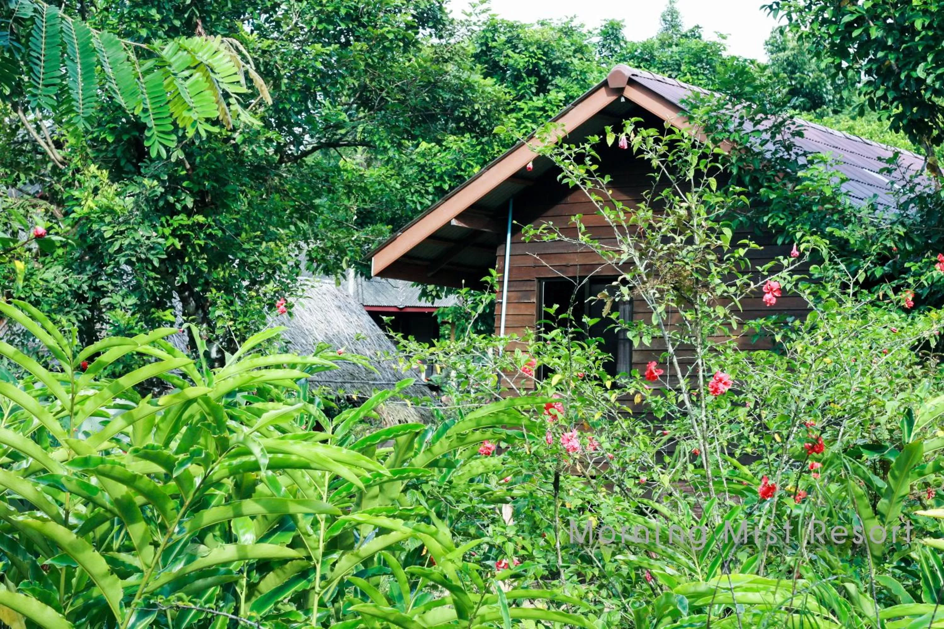 Garden view in Khao Sok Morning Mist Resort
