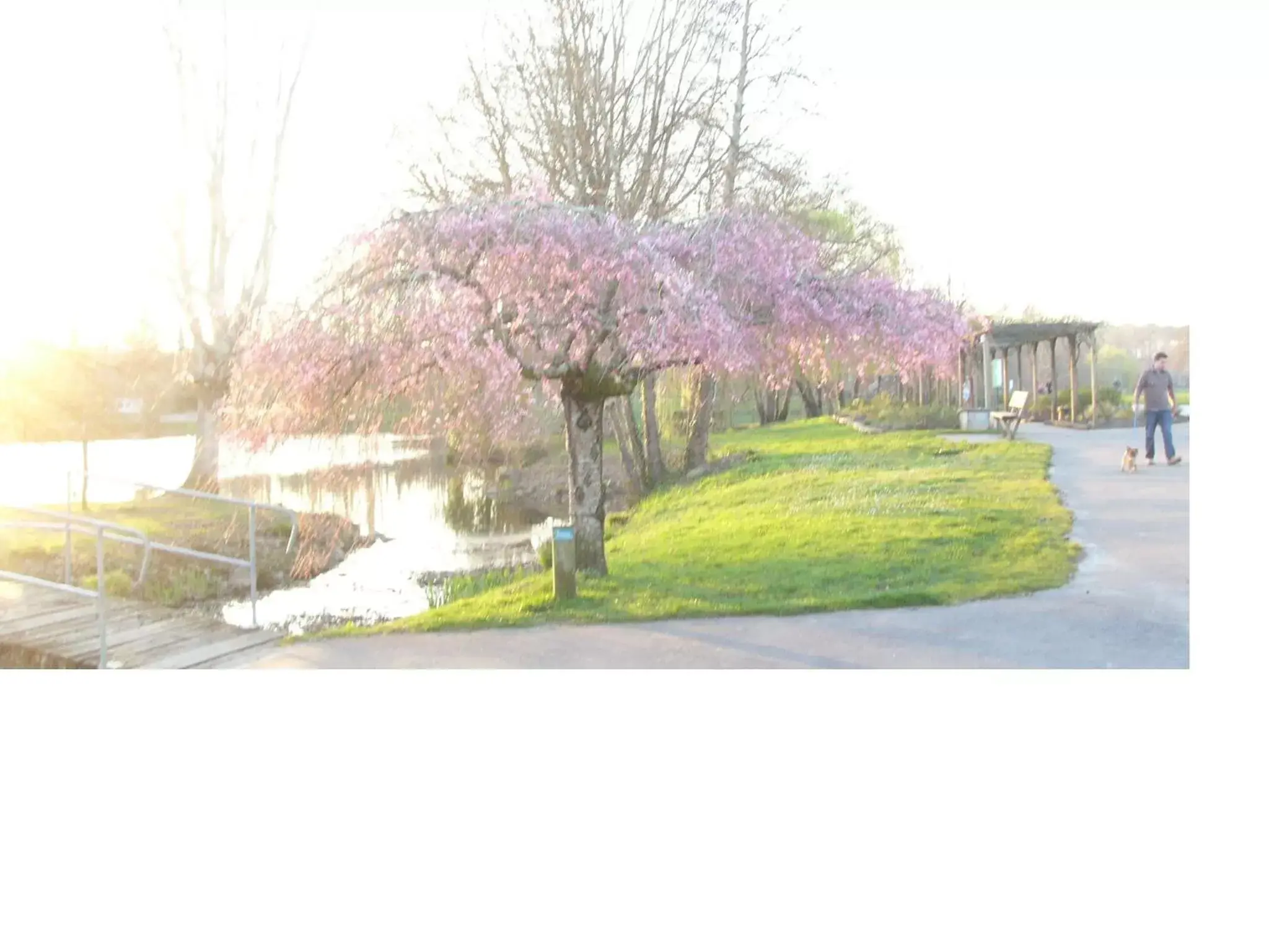 Natural landscape in Campanile Dax - Saint-Paul-Les-Dax